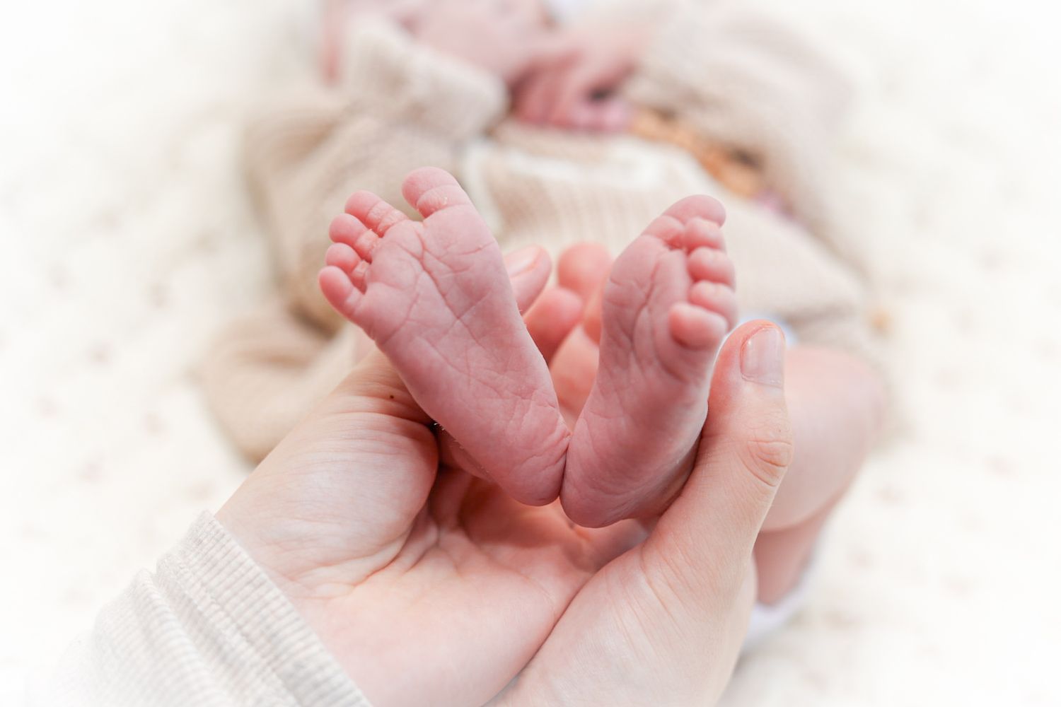 A parent gently cradles a newborn baby's tiny feet in their hands against a soft white background.