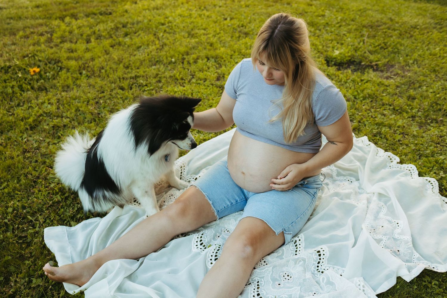 Pregnant woman in blue outfit sitting on blanket in grass, gently petting a border collie dog outdoors.