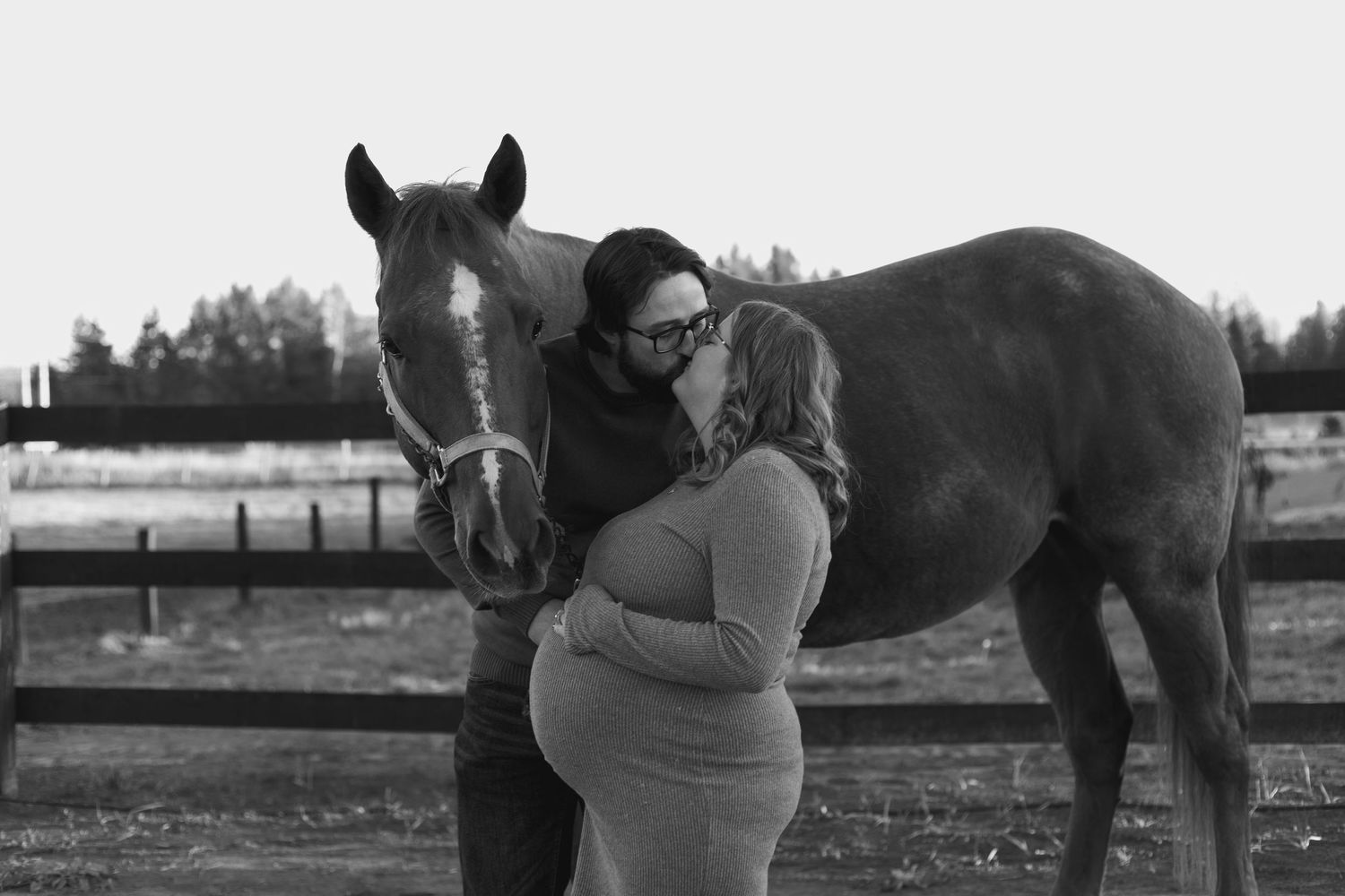 Black and white maternity photo of a pregnant couple kissing beside a horse at a farm fence.