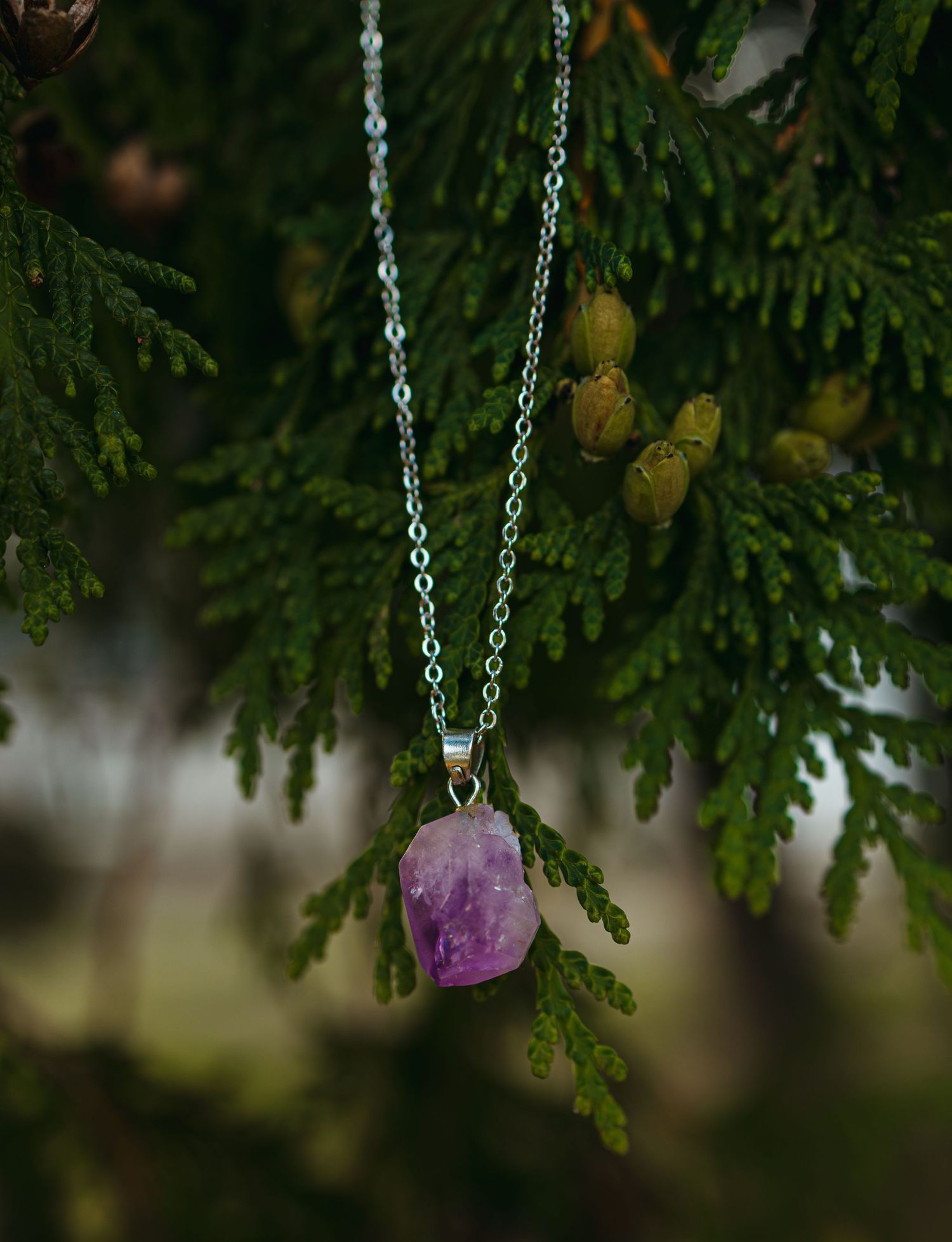 Raw amethyst crystal pendant necklace on silver chain hanging from green cedar tree branches outdoors.