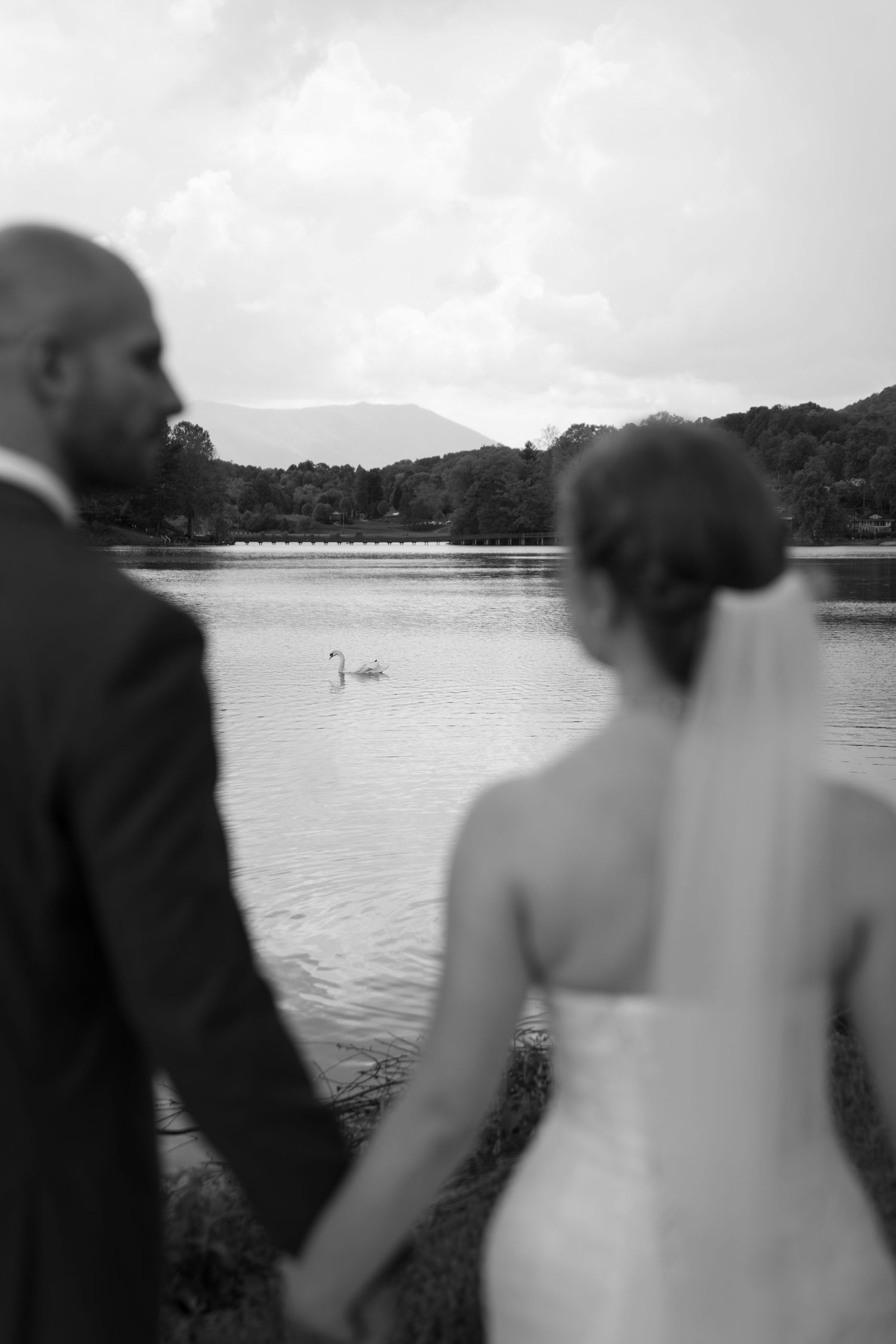 Black and white lakeside wedding photo with swans floating in the distance.