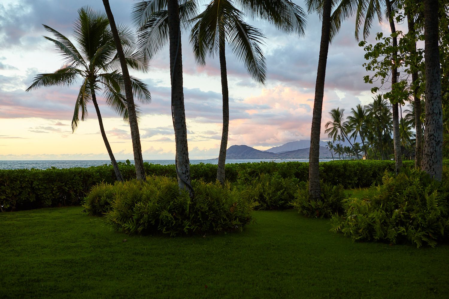 Scenic tropical landscape with palm trees silhouetted against a sunset sky.