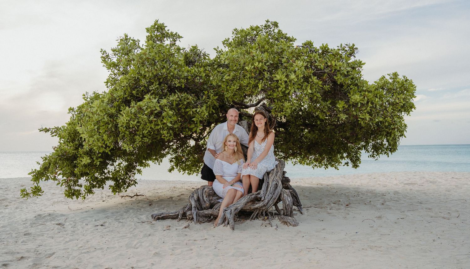 A lush green tree provides shade on a pristine white sand beach with turquoise waters in the distance.