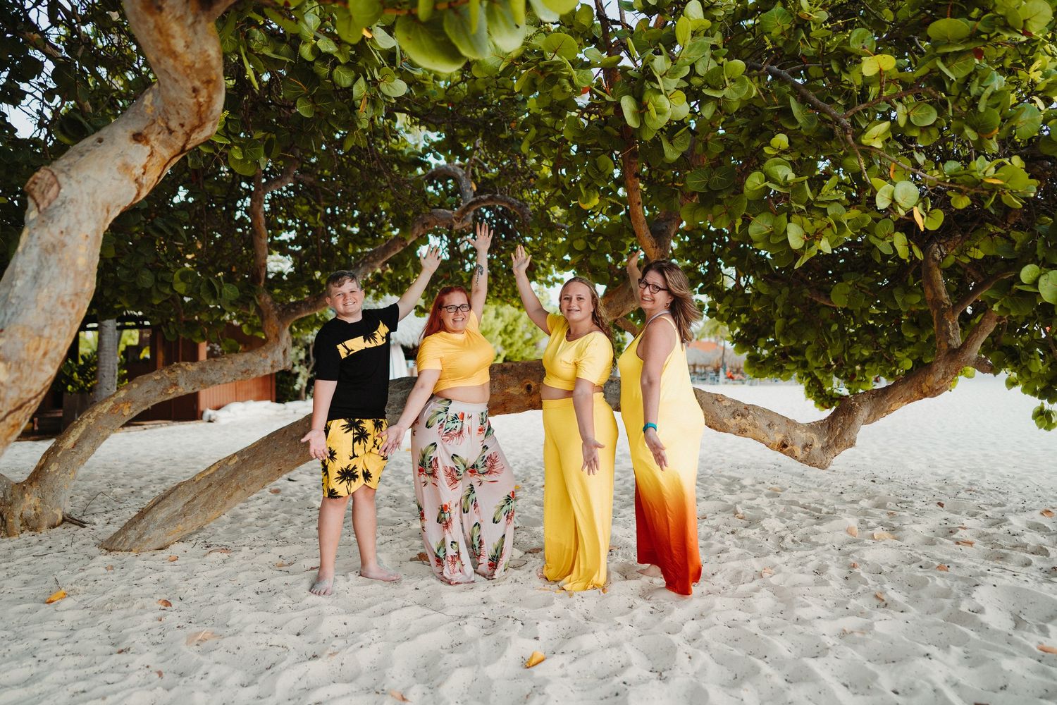 Group enjoying a tropical beach gathering under large shady trees during sunset.
