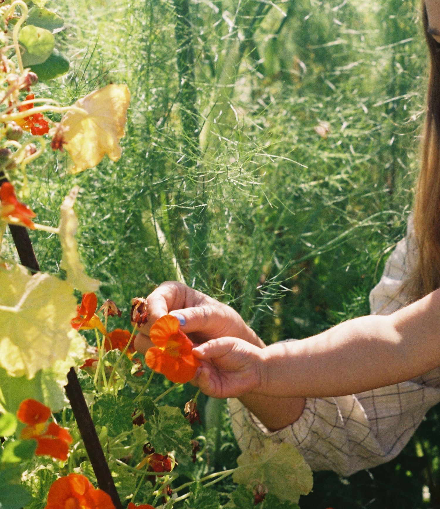 Mornington-Peninsula and Melbourne Film Photography