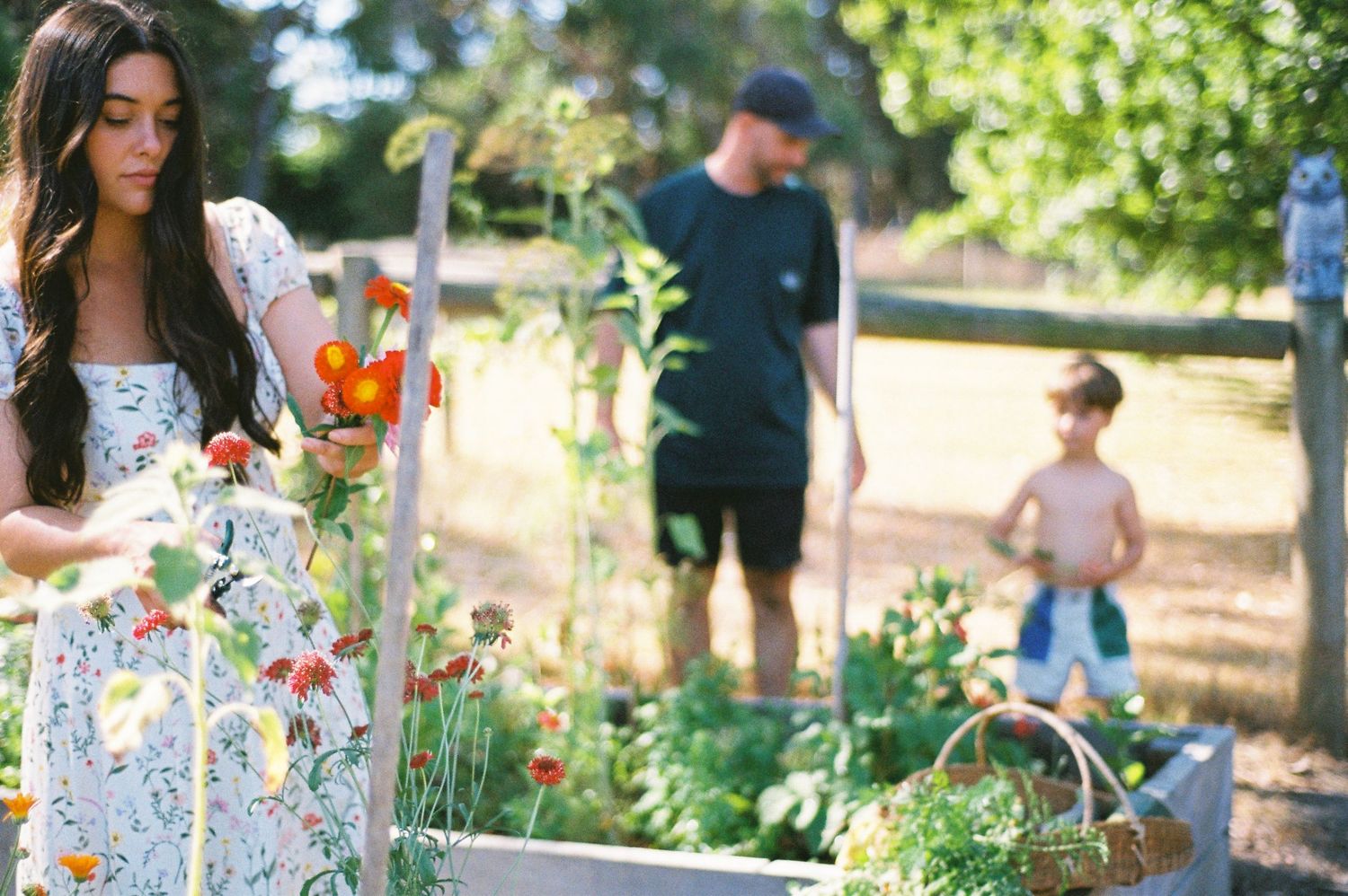 Family tending a vibrant garden, picking fresh vegetables and flowers among raised beds on a sunny day.