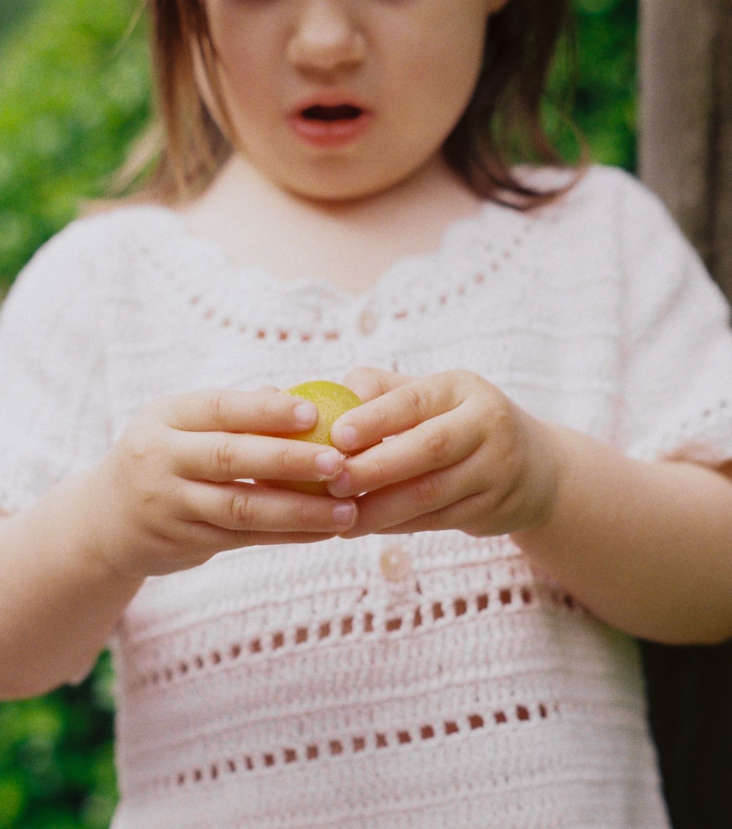 Small hands gently hold and examine yellow flower petals in a garden setting. Mornington-Peninsula and Melbourne Film Photography