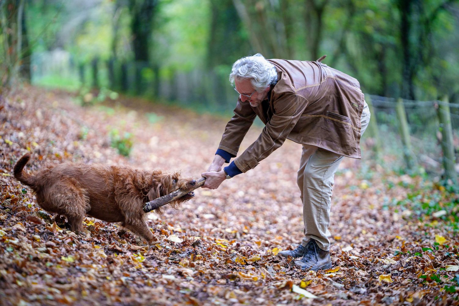 A man and dog playfully having a game of tug with a stick