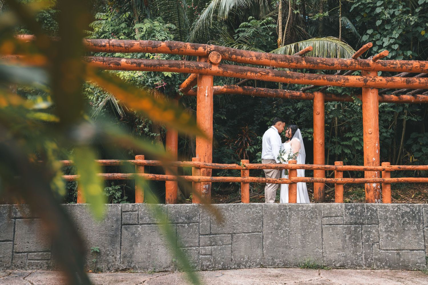 Guam wedding photographer capturing newlyweds sharing a kiss on a wooden bridge surrounded by tropical greenery.