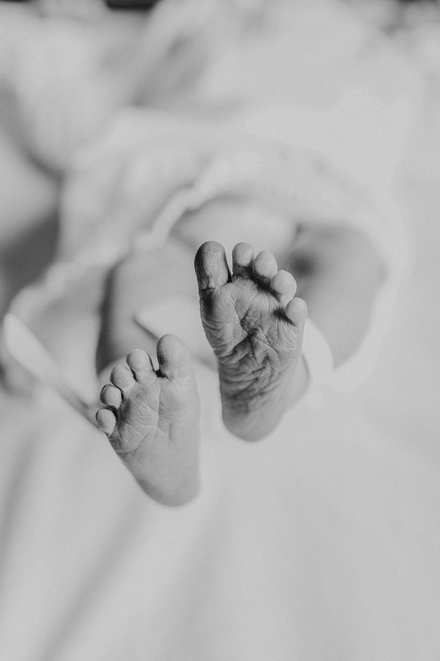 Black and white close-up of tiny newborn baby feet on soft fabric.