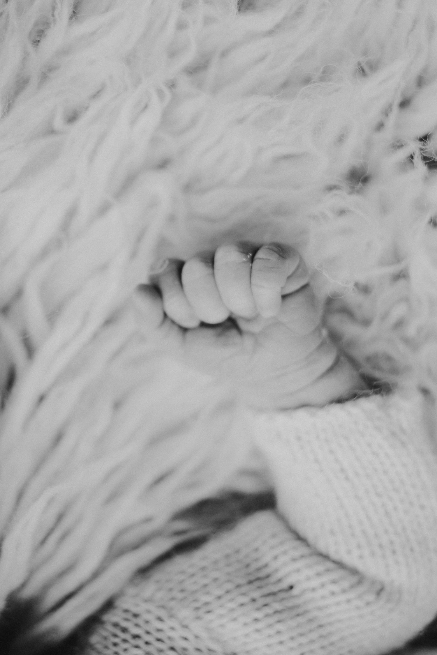 Close-up black and white image of tiny baby toes on soft fuzzy fabric.