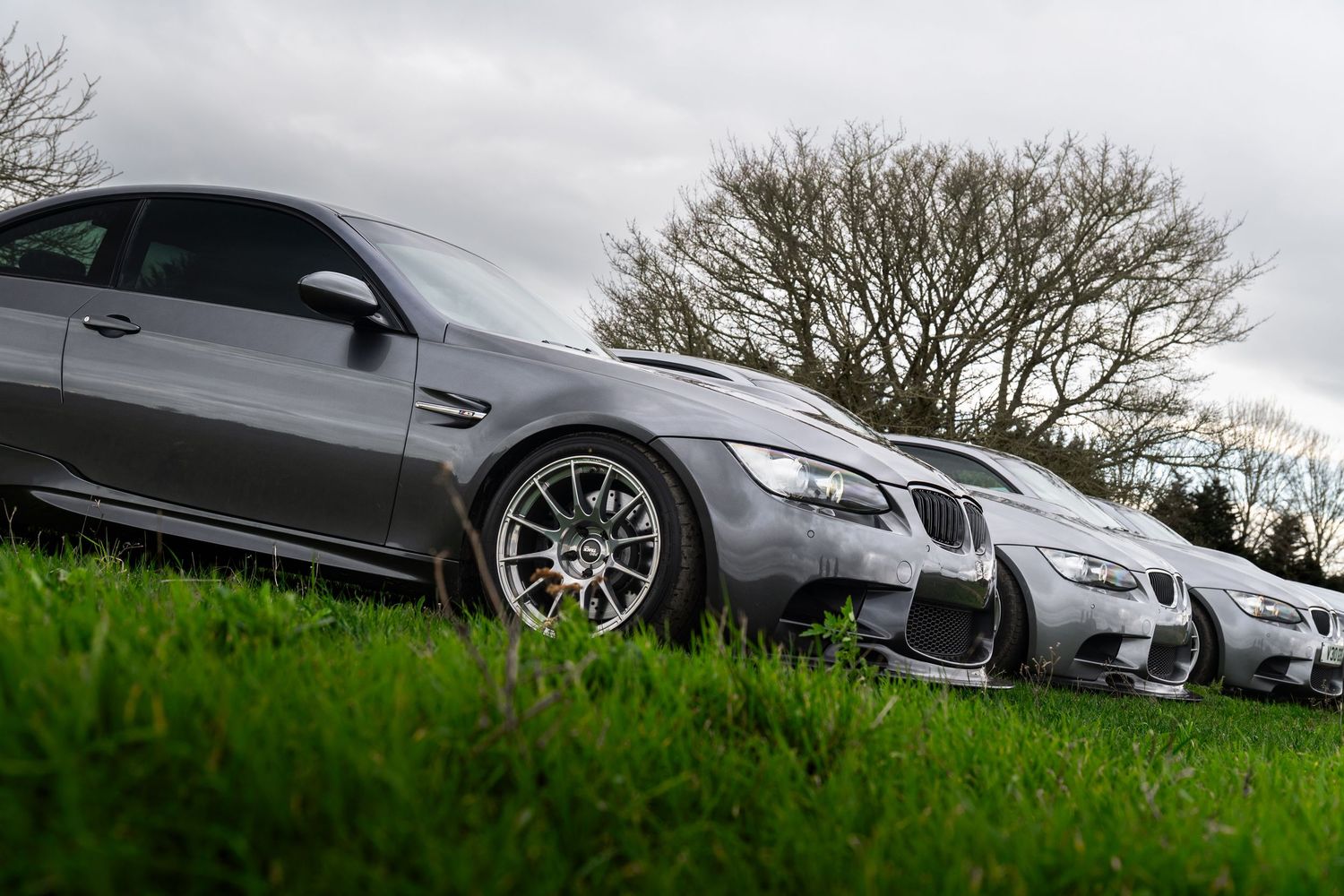 Row of silver BMW M3 coupes parked on grass with a large tree in the background on an overcast day.