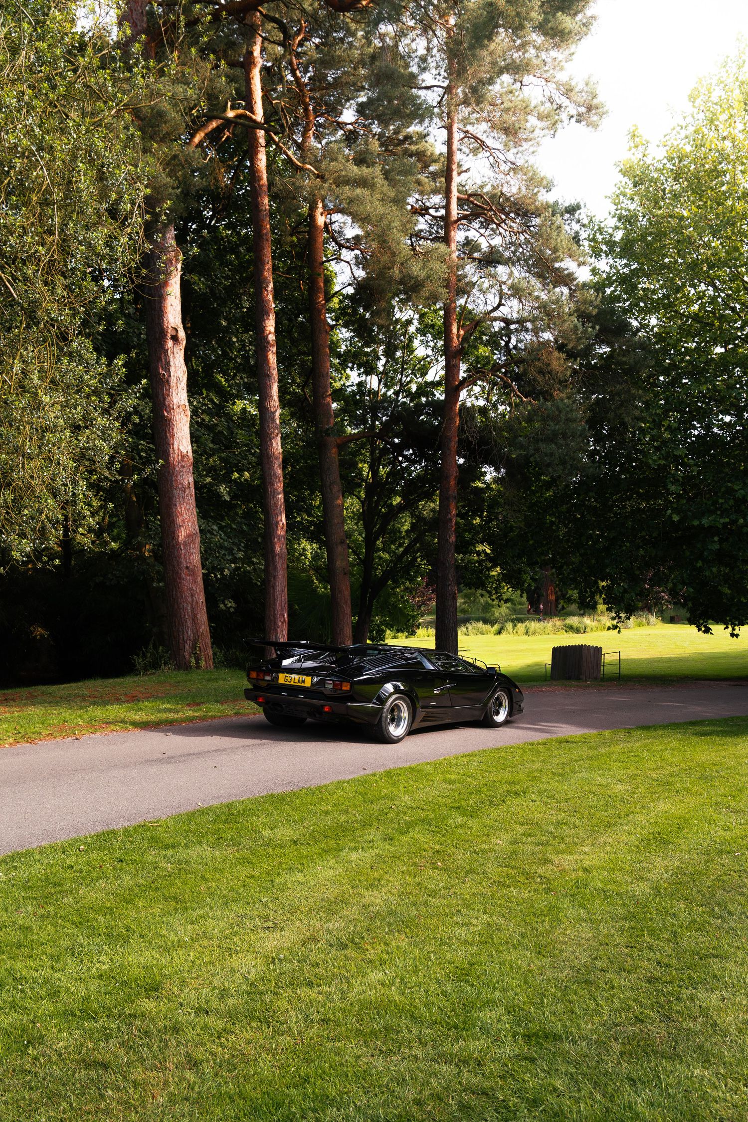 Black supercar parked on a curved driveway surrounded by tall pine trees and lush green lawns in a park setting.