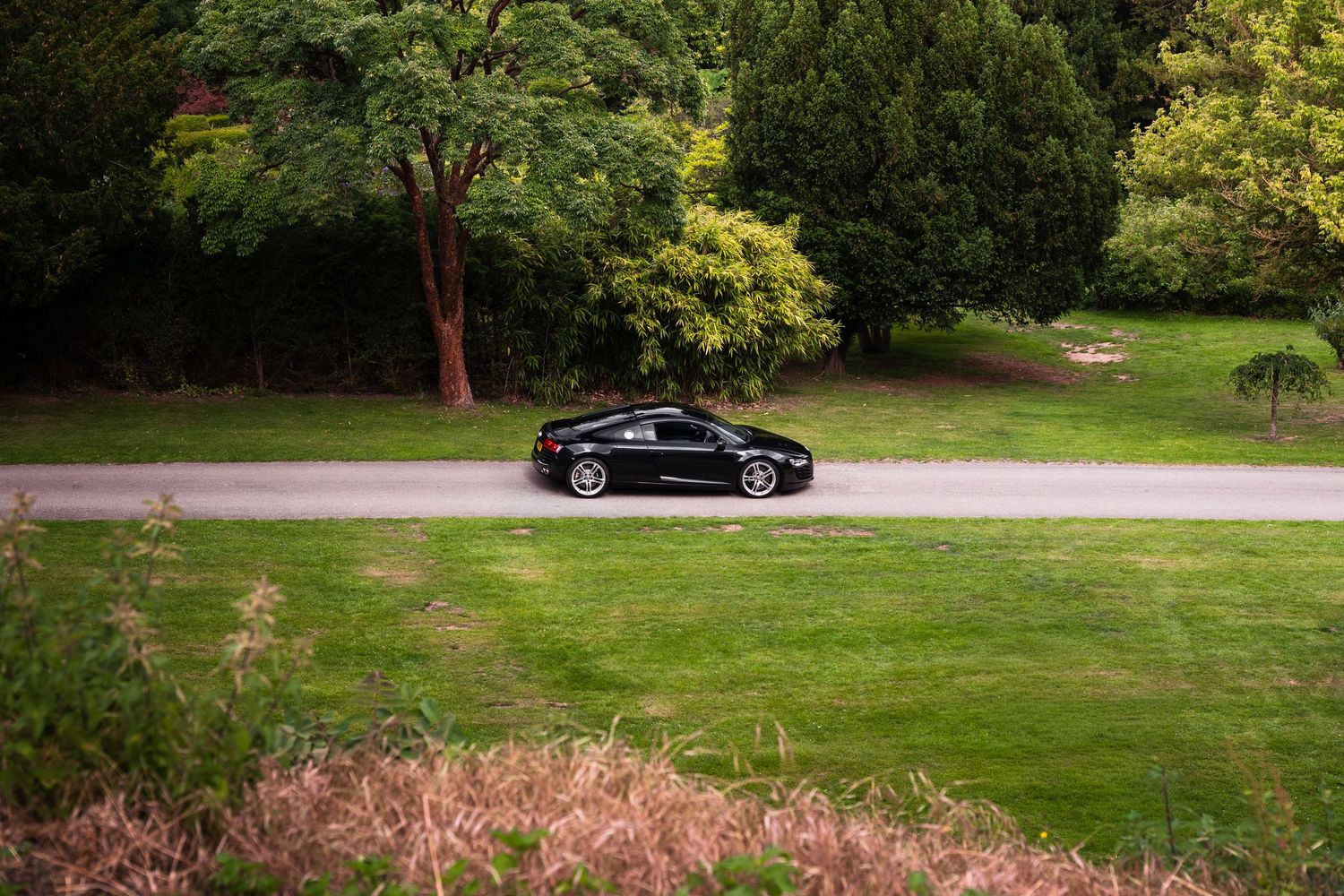 Black sports car driving on a winding road through a lush green park with tall trees.