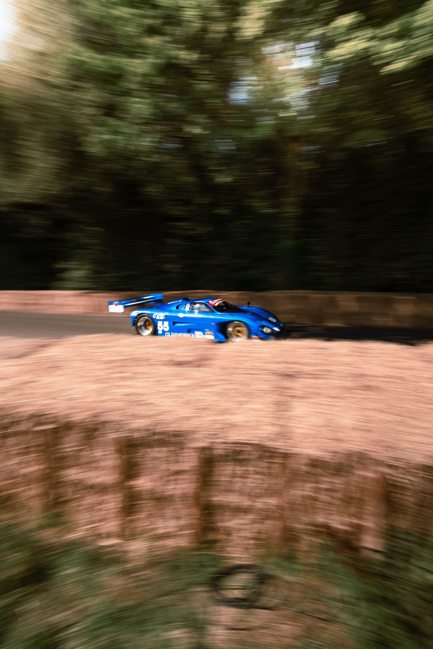 Blue racing car speeding through a forest track, captured with motion blur effect.