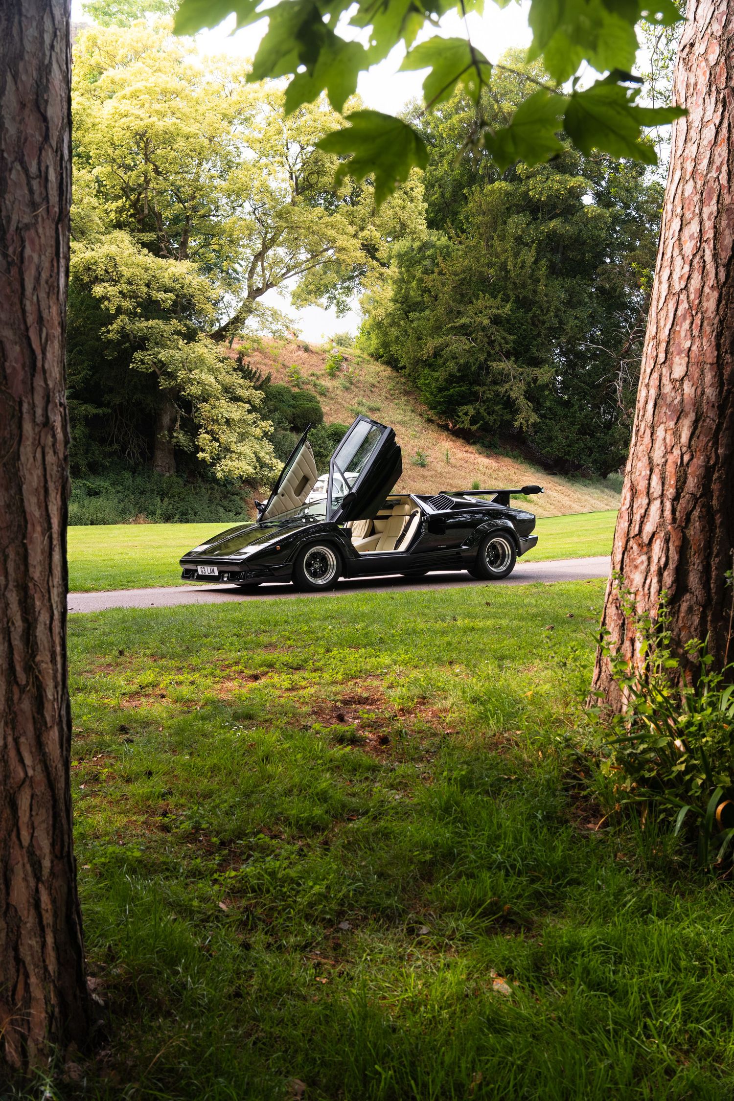 Black Lamborghini Countach with scissor doors open, parked on grass between trees in a lush green park setting.