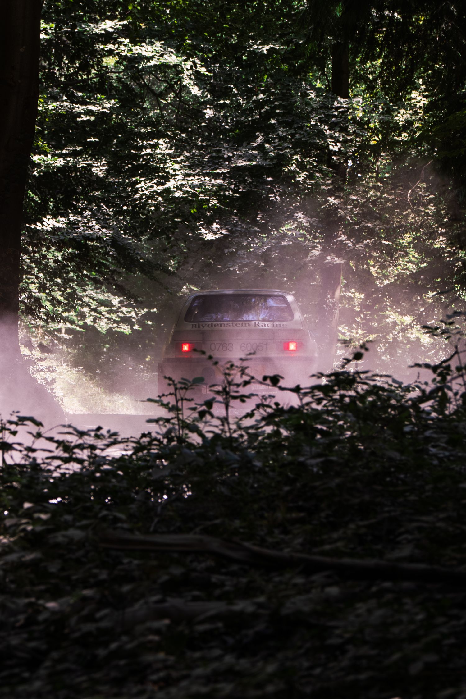 A dusty vehicle drives through a dark, sunlit forest trail surrounded by lush green trees.