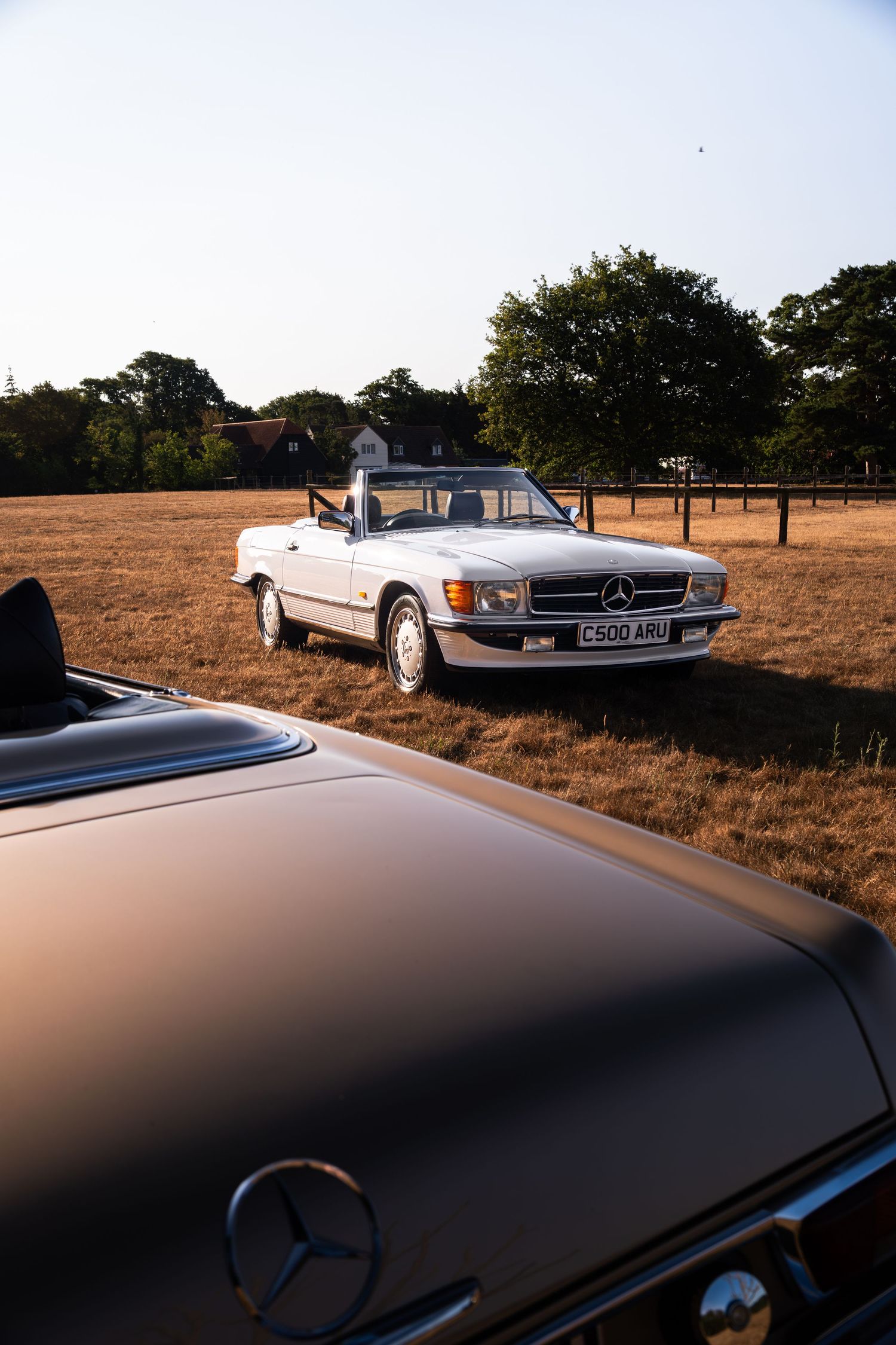 Two classic Mercedes-Benz convertibles parked in a golden field at sunset, with lush trees in the background.