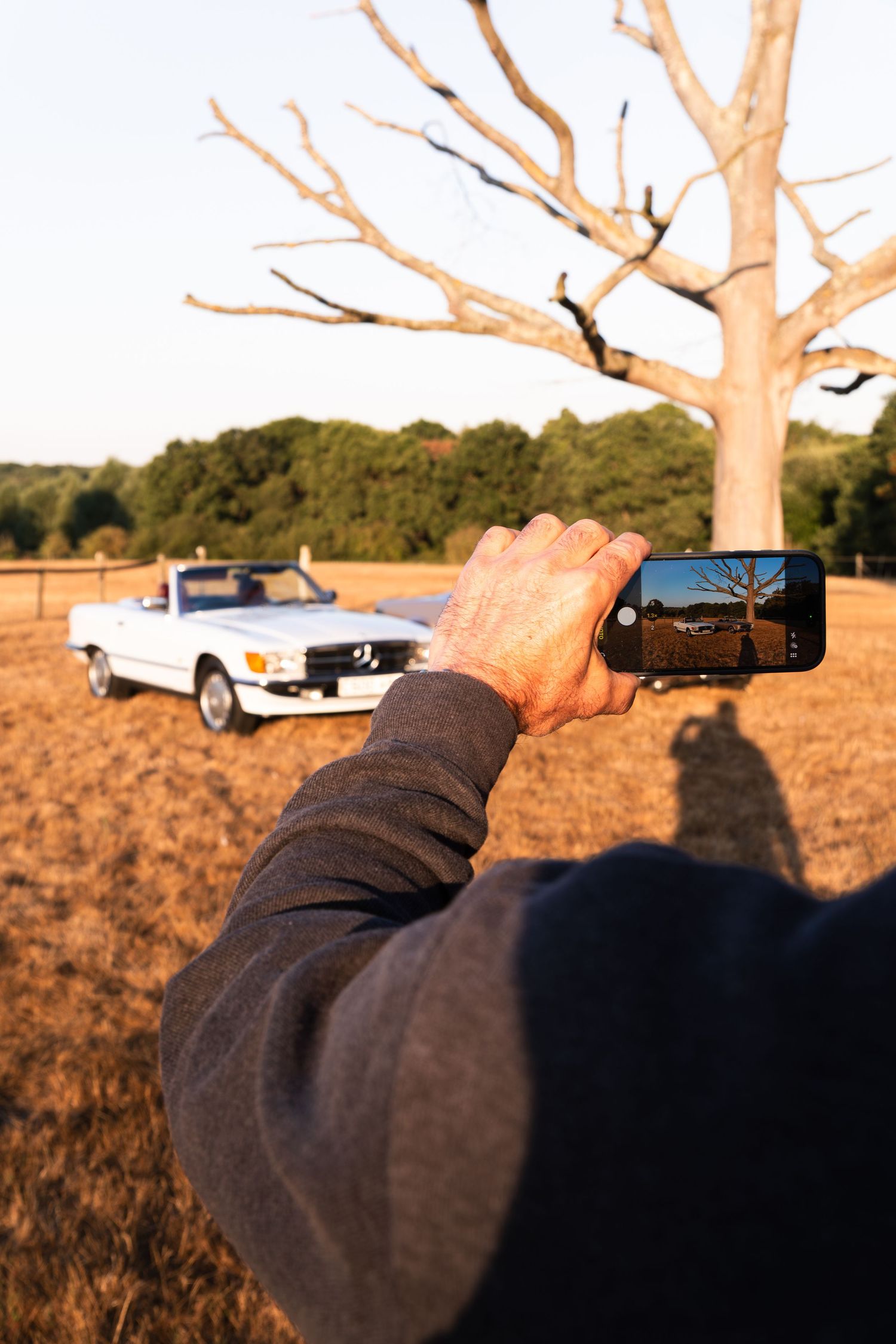 Person photographing a white Mercedes-Benz convertible in a golden field beside a bare tree on a sunny day.