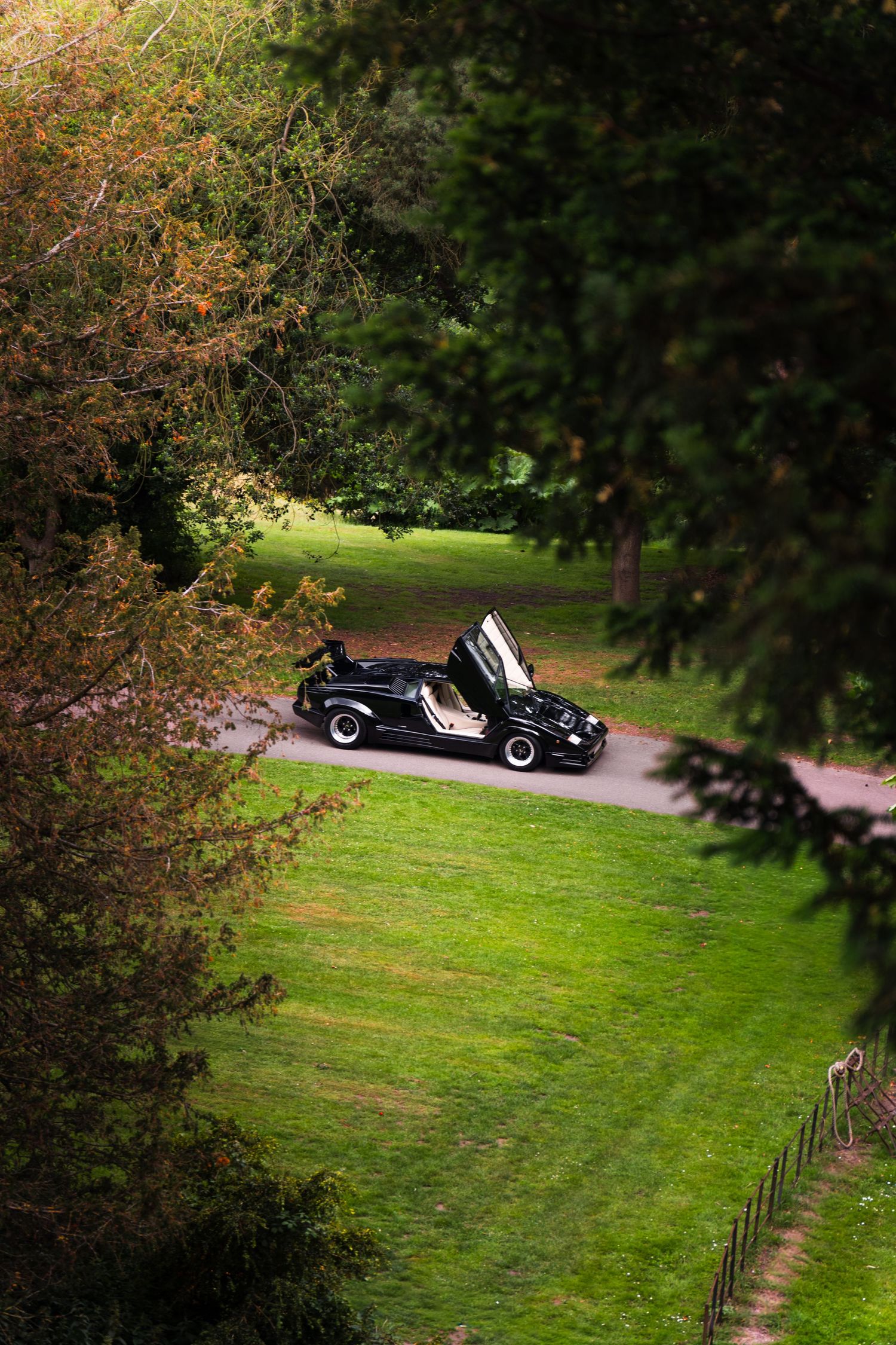 Black sports car with scissor doors open parked on a winding path surrounded by lush green trees and grass.