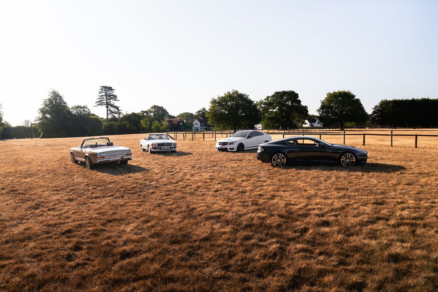 Four classic and modern cars parked on a golden field surrounded by trees on a sunny day.