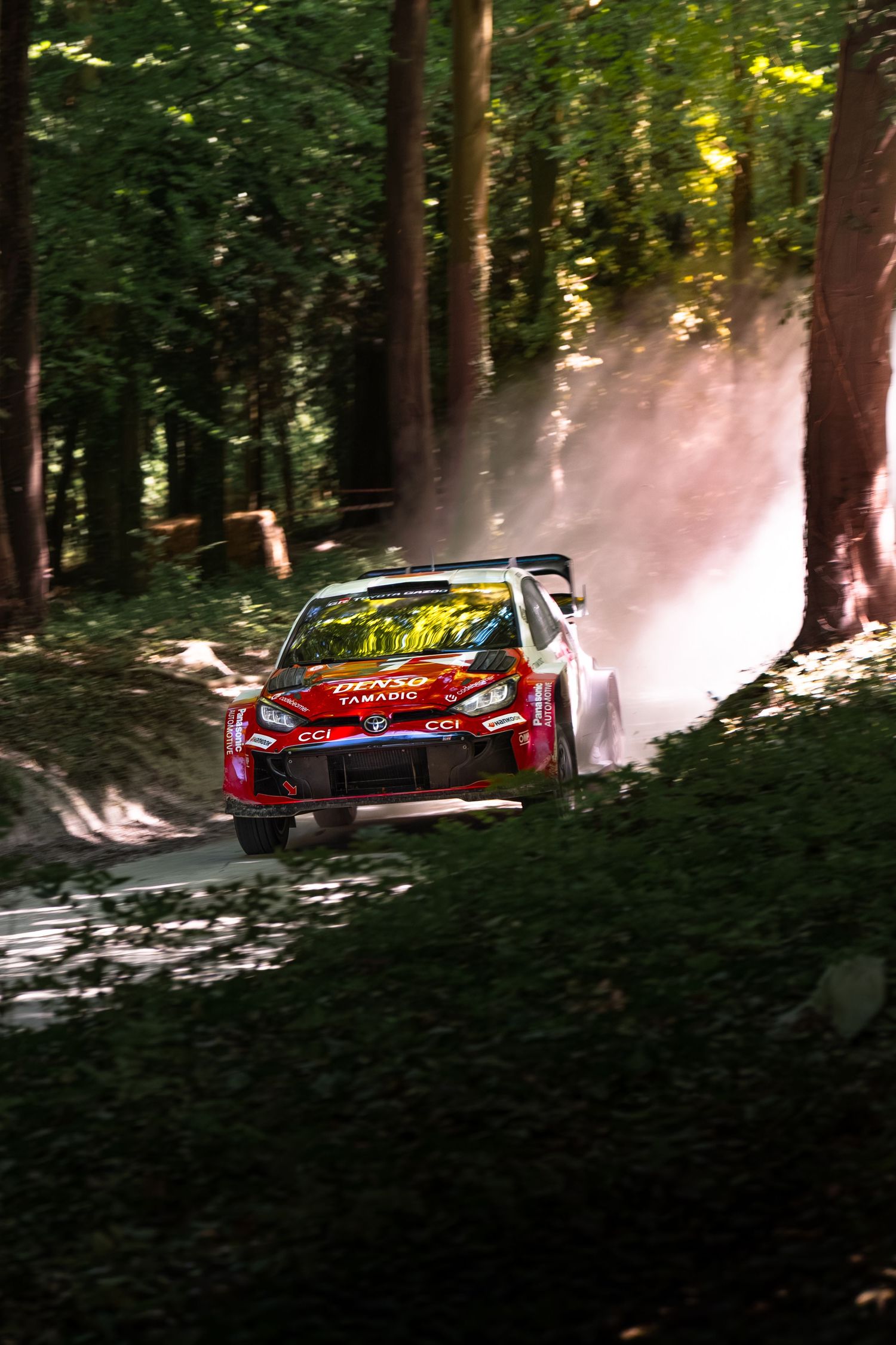 Red Toyota GR Yaris WRC rally car racing through a forest stage, kicking up dust on a narrow road.