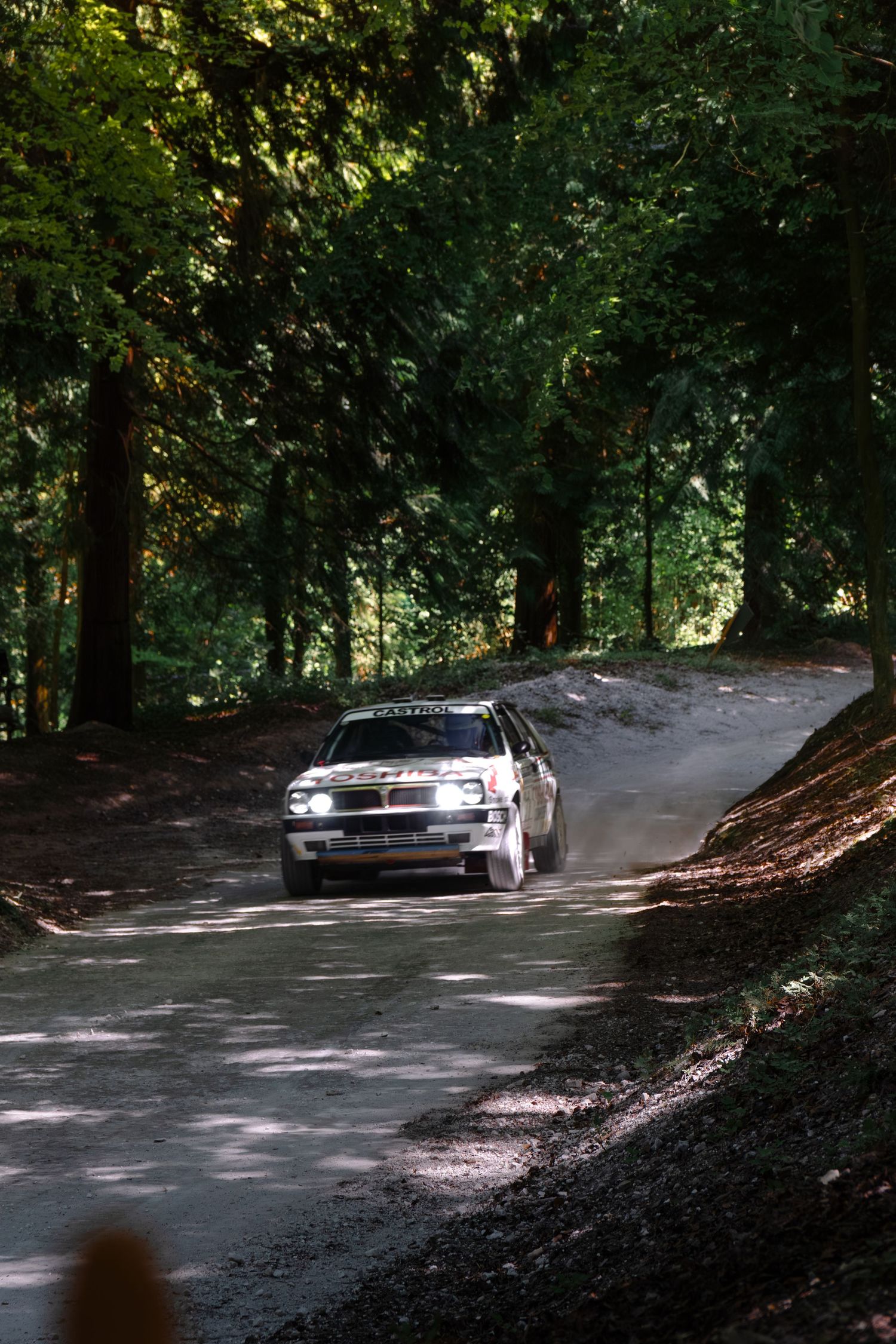 Rally car racing on a dusty forest gravel road, headlights on, kicking up dust among tall green trees.