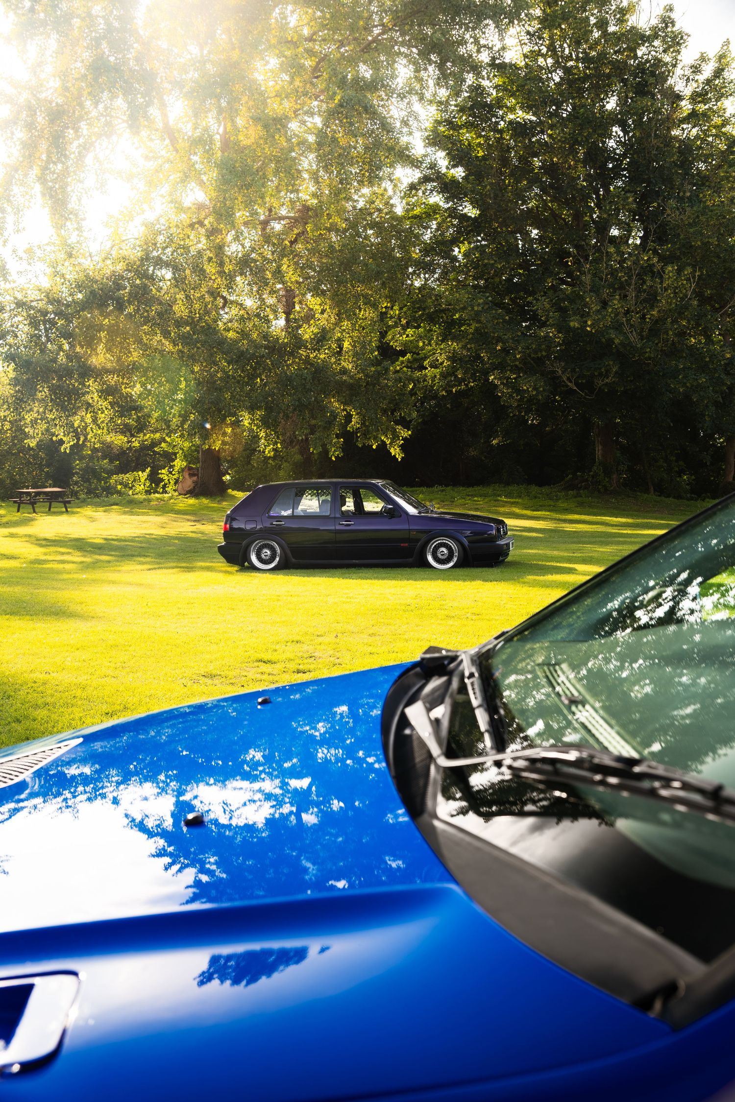 A blue car hood reflects the sky, with a dark hatchback parked on a sunlit green lawn surrounded by trees.