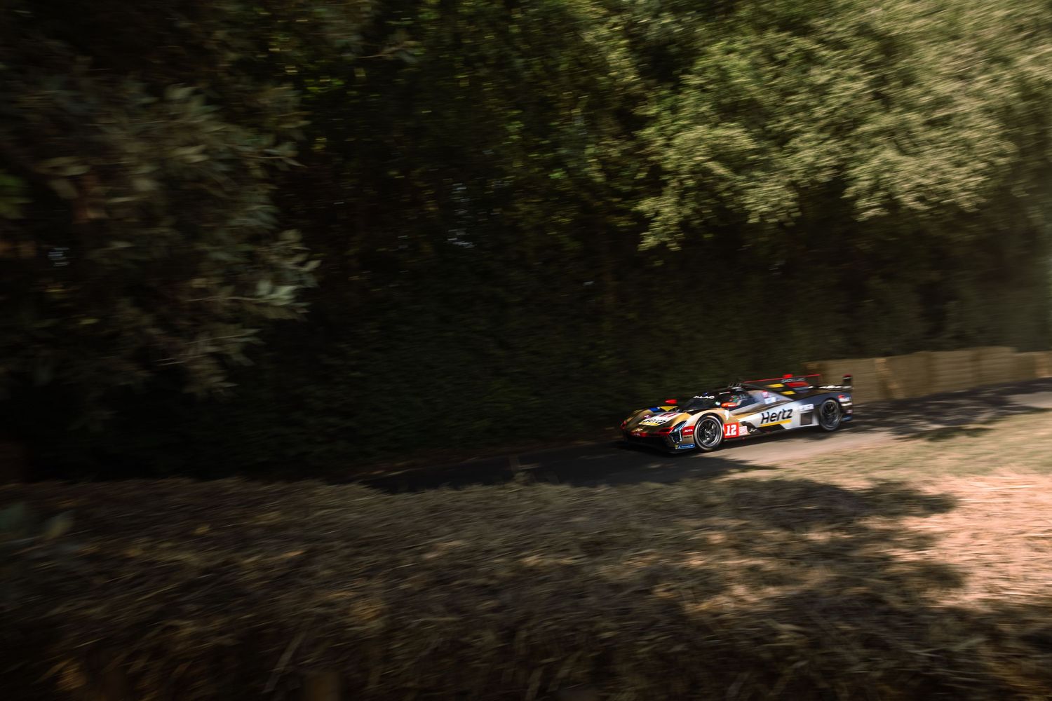 A colorful racing car speeds past dense green trees on a sunlit track during a motorsport event.