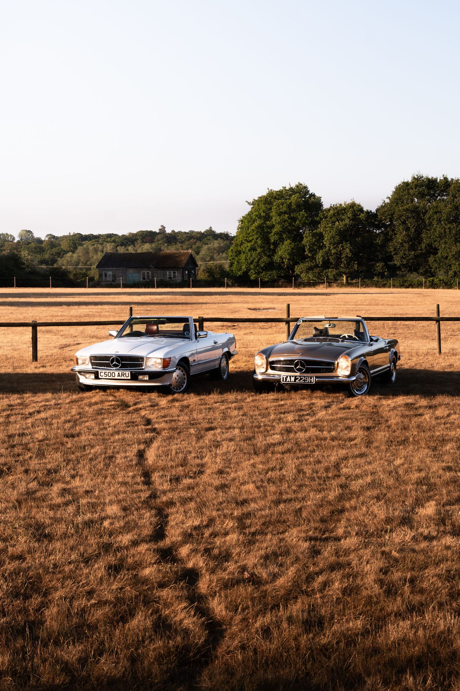 Two classic Mercedes-Benz convertibles parked in a golden field at sunset with trees and a barn in the background.