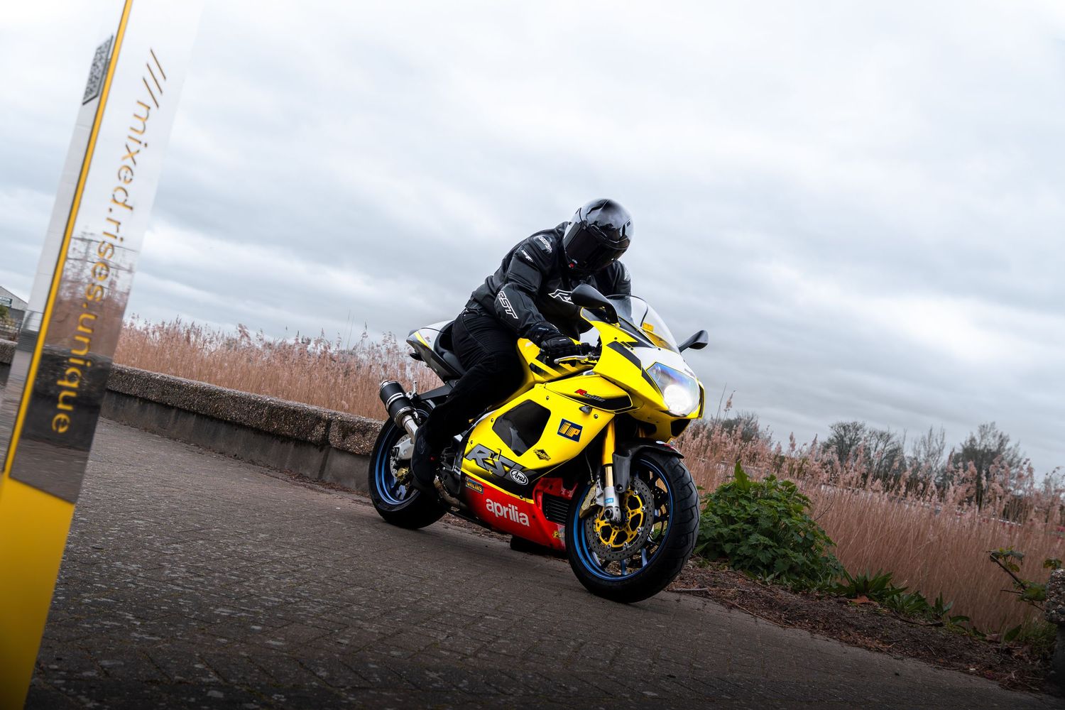 Yellow Aprilia sportbike with rider in black gear riding near a low brick wall and reeds.