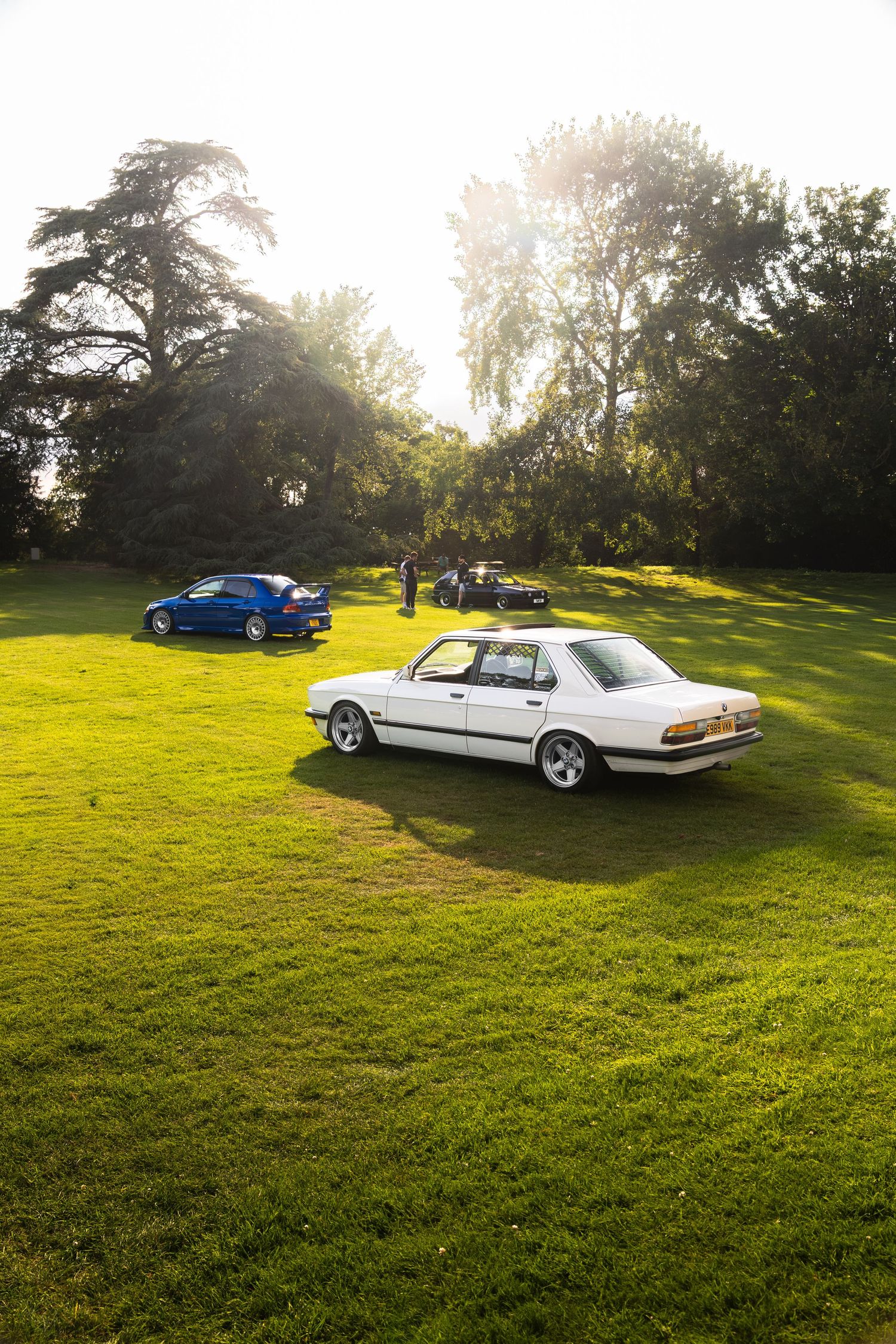 Classic white BMW and blue sports car parked on lush green grass at golden hour with trees in background.