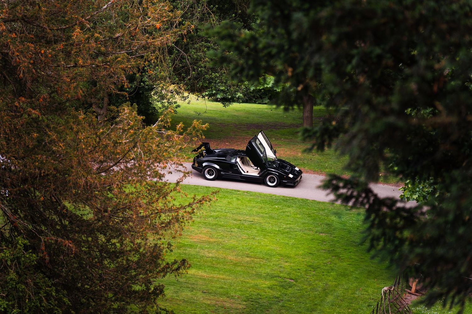 Black exotic sports car with open scissor doors parked on a winding path surrounded by lush green trees.