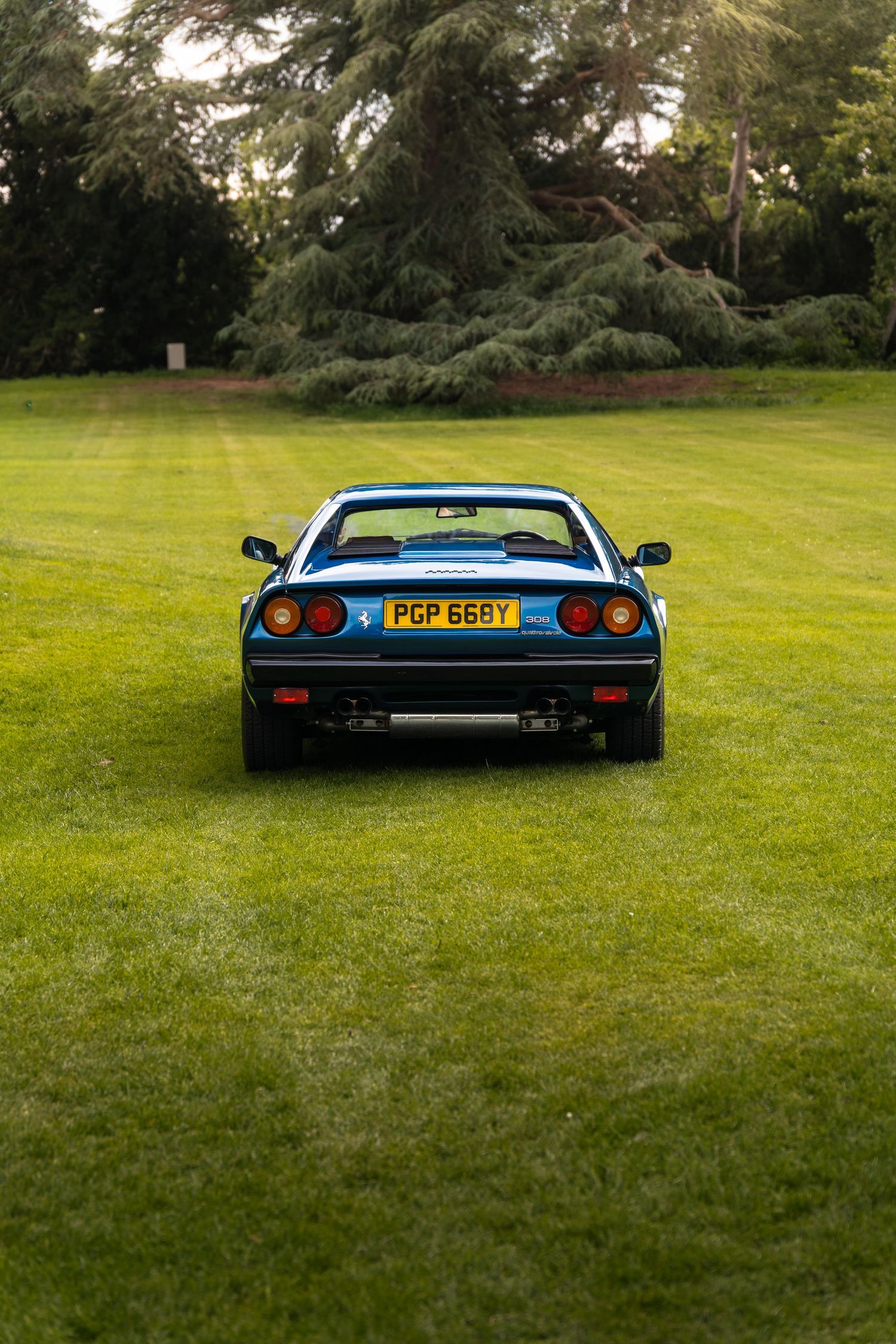 Blue Ferrari 308 GTB rear view parked on lush green grass with trees in background, UK registration plate PGP 668Y.
