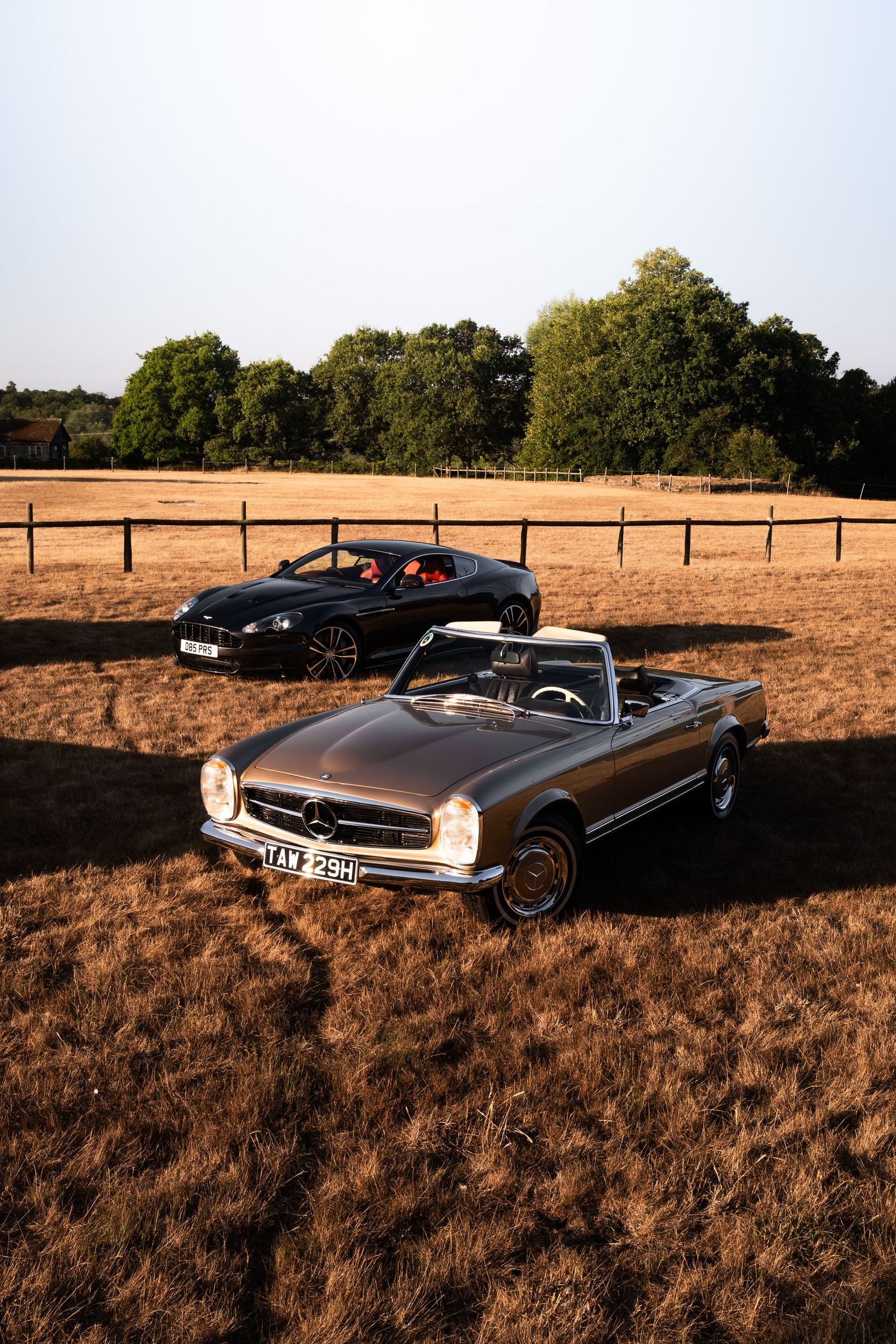 A classic silver Mercedes-Benz convertible and a modern black sports car parked in a golden field with trees in the background.