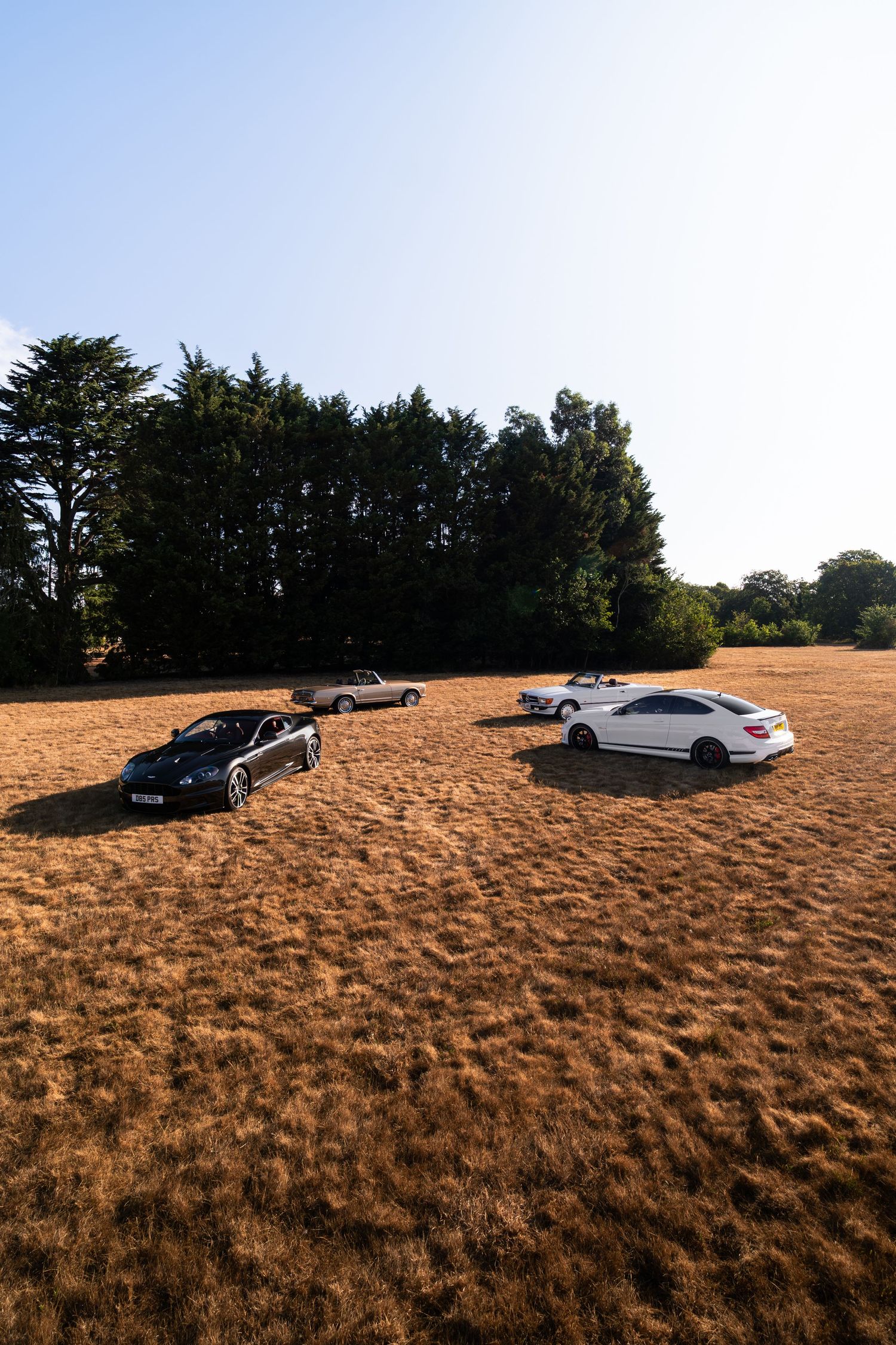 Four cars parked on a dry golden field with tall green trees in the background under a clear blue sky.