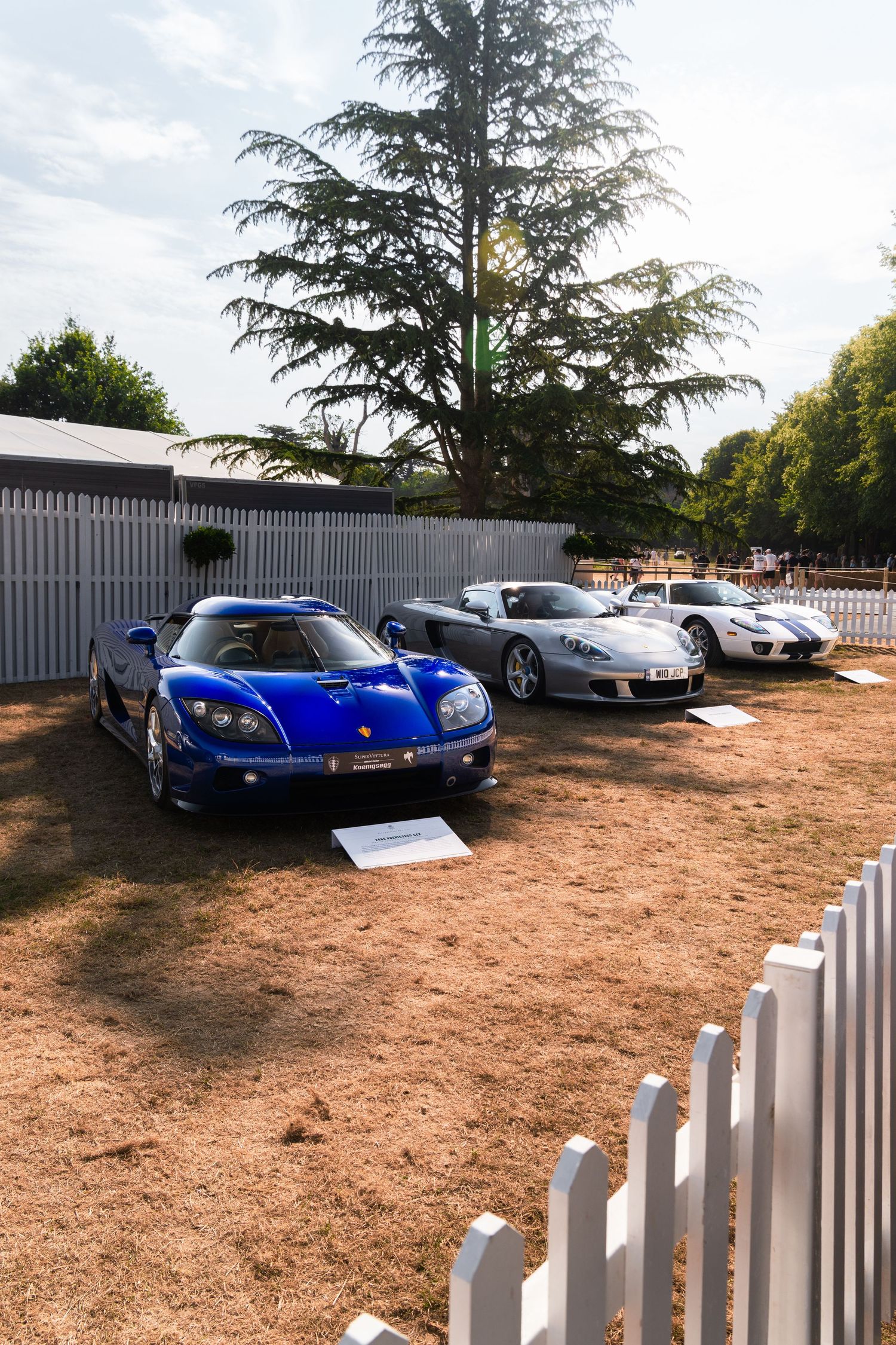 Blue Koenigsegg and Porsche supercars on display at an outdoor automotive show with white fence and tall tree.