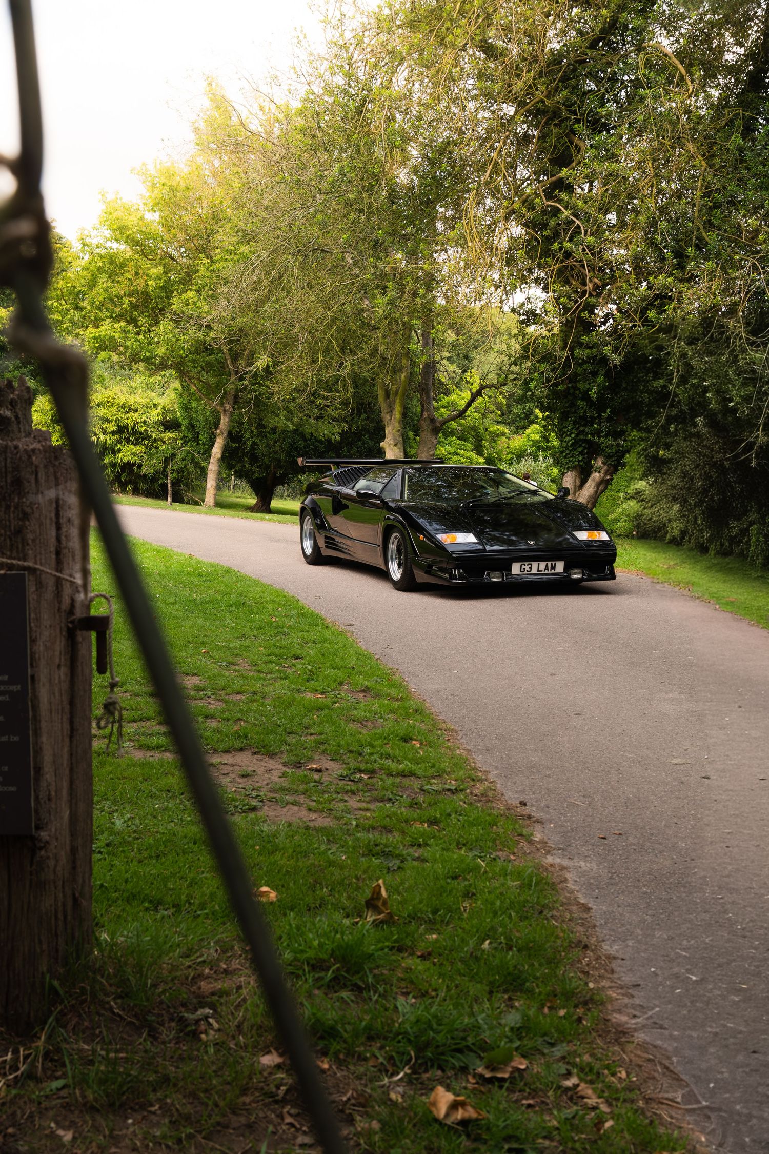 Black Lamborghini Countach parked on a tree-lined country road surrounded by lush green foliage in golden hour light.
