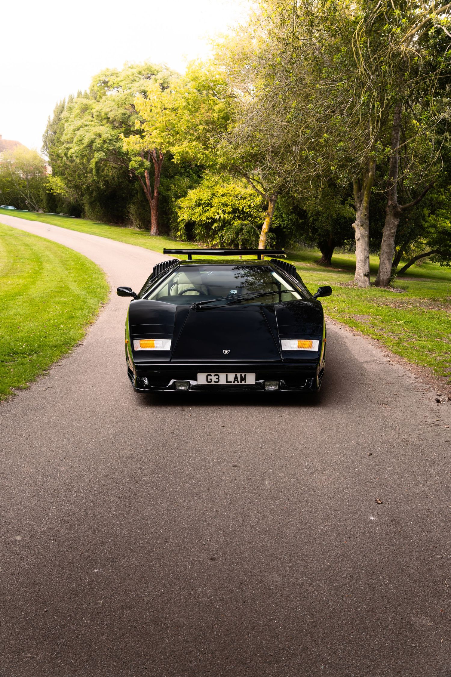 Black Lamborghini Countach rear view on a tree-lined driveway with UK license plate 63 LAM.