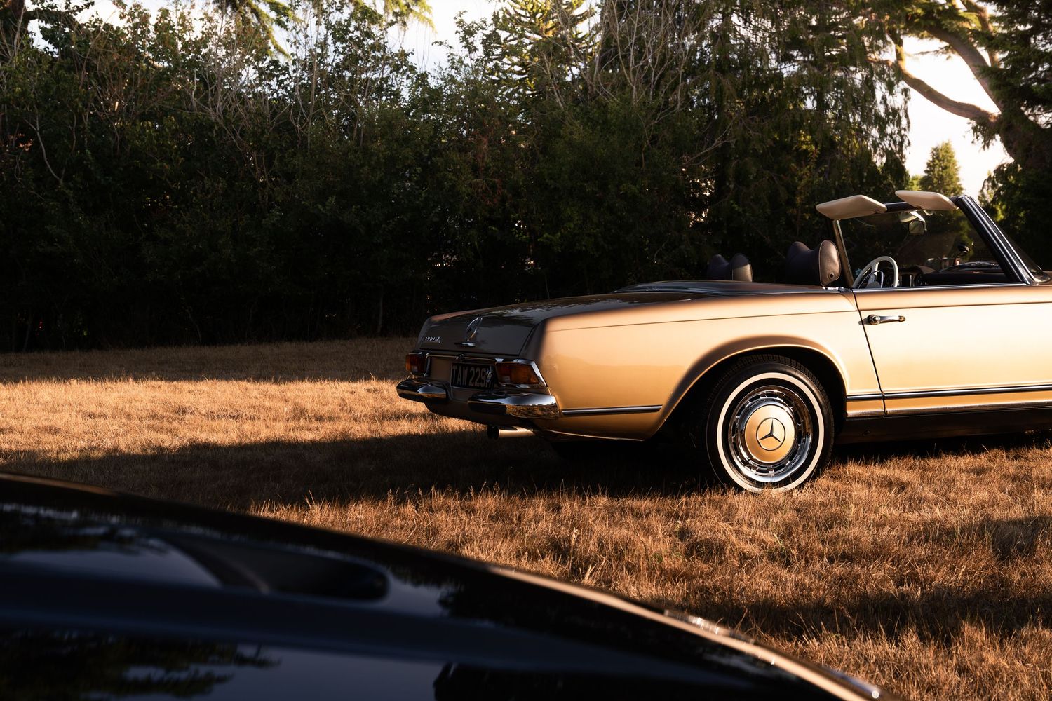 Vintage gold Mercedes-Benz convertible parked on dry grass at golden hour with lush green trees in background.