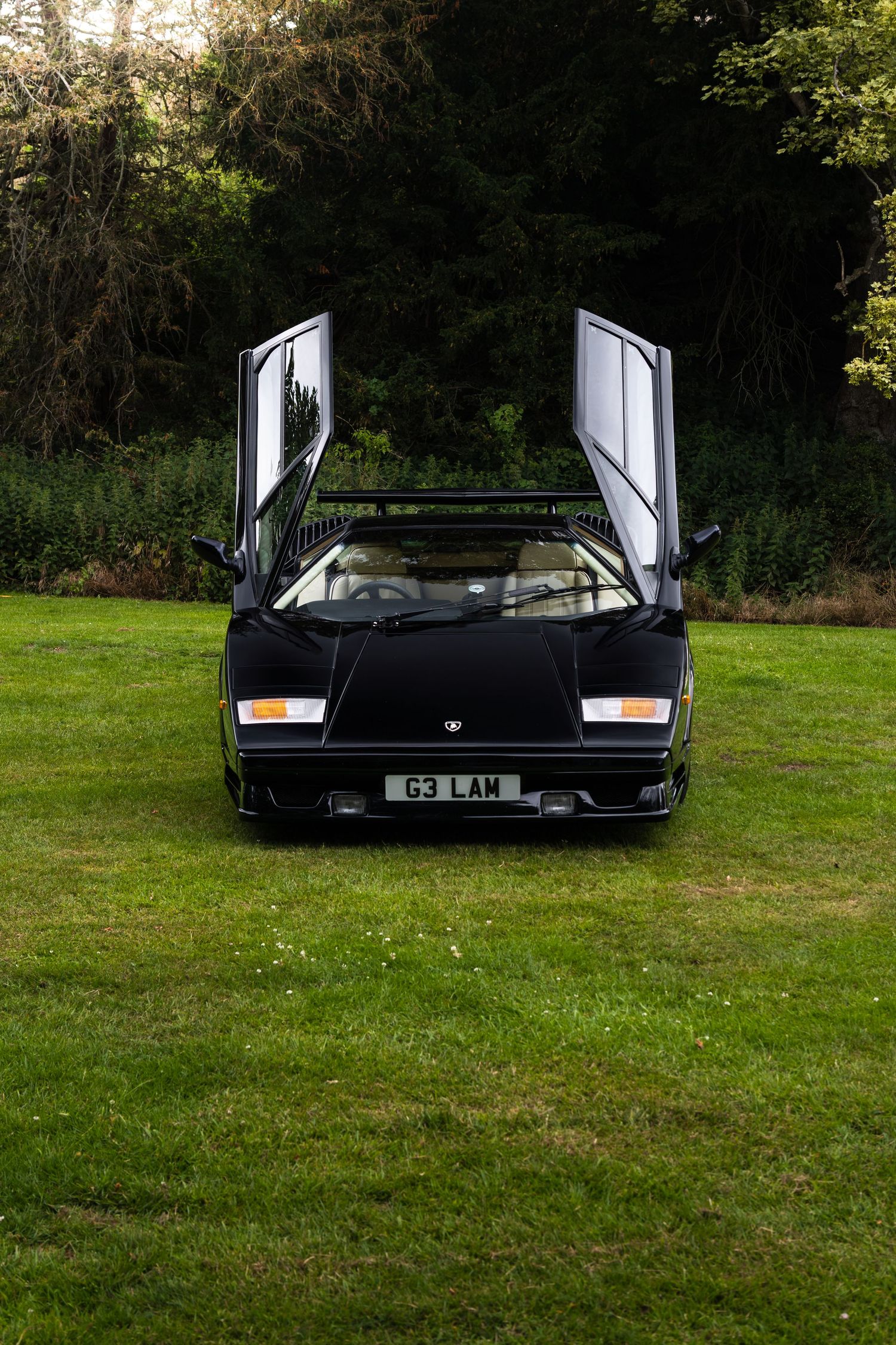 Black Lamborghini Countach with scissor doors open parked on green grass with trees in background, license plate G3 LAM.