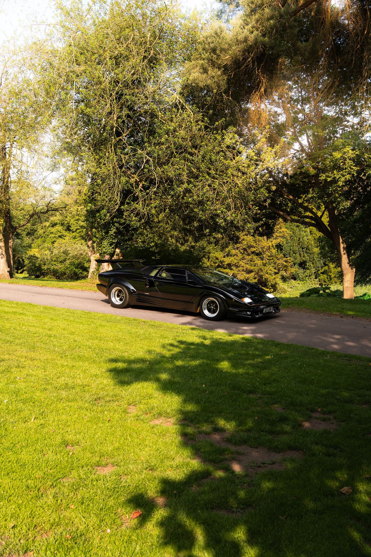 A sleek black sports car drives through a sunlit park road surrounded by lush green trees and grass.