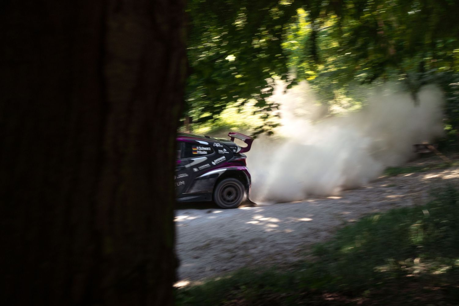 Rally car speeding through a forest stage, kicking up dramatic clouds of dust and smoke on a gravel road.