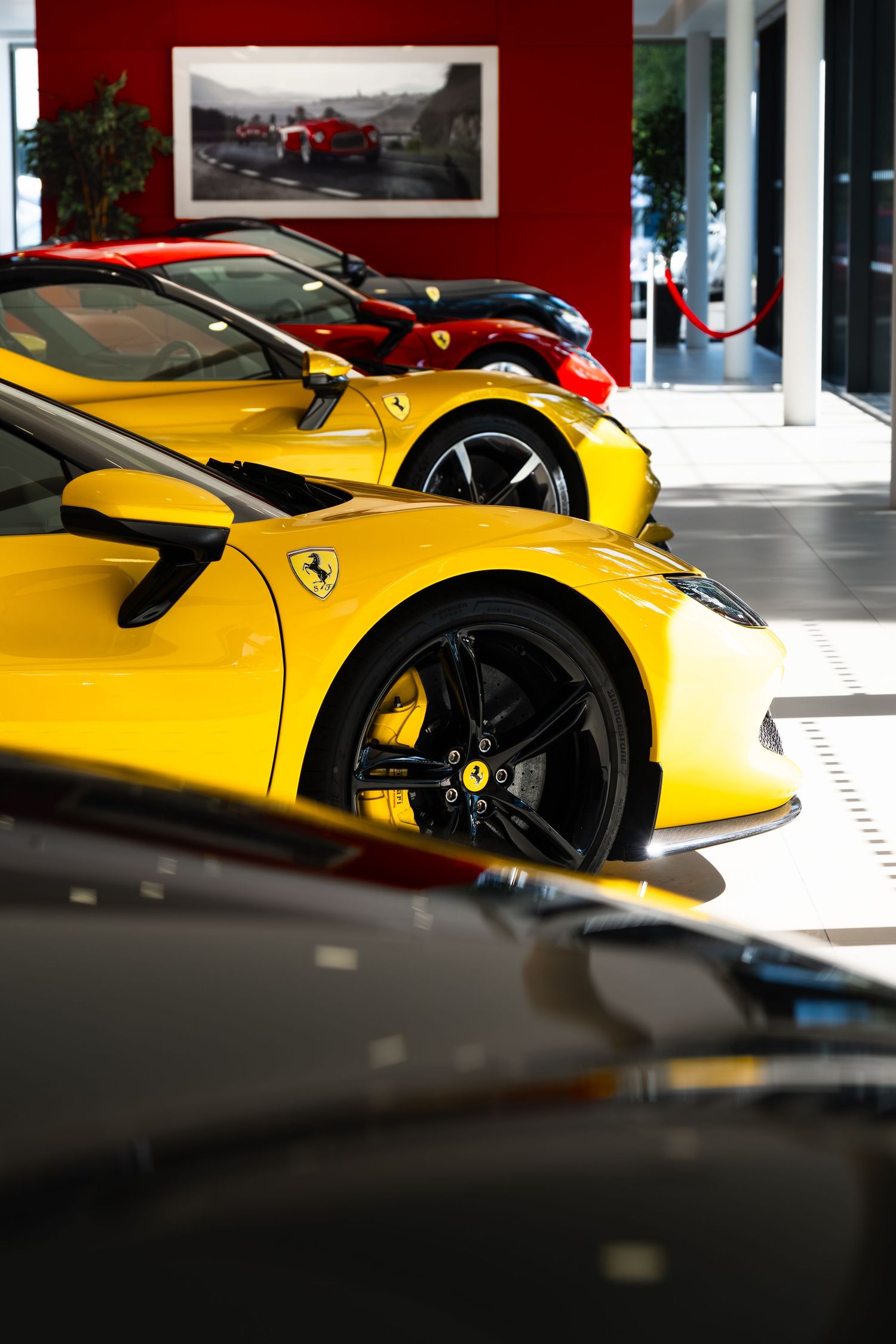 Row of Ferrari supercars including a yellow Ferrari on display inside a luxury car dealership showroom.