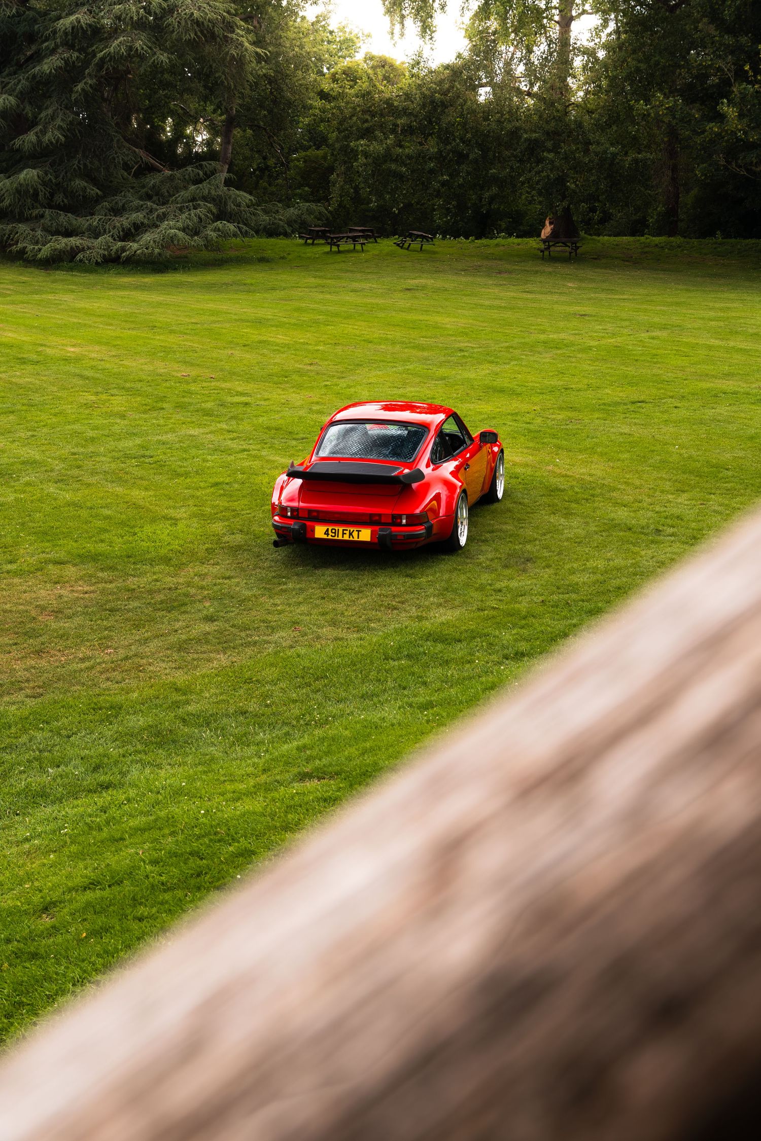 Red Porsche 911 Turbo parked on lush green grass in a scenic park setting, viewed from elevated angle.