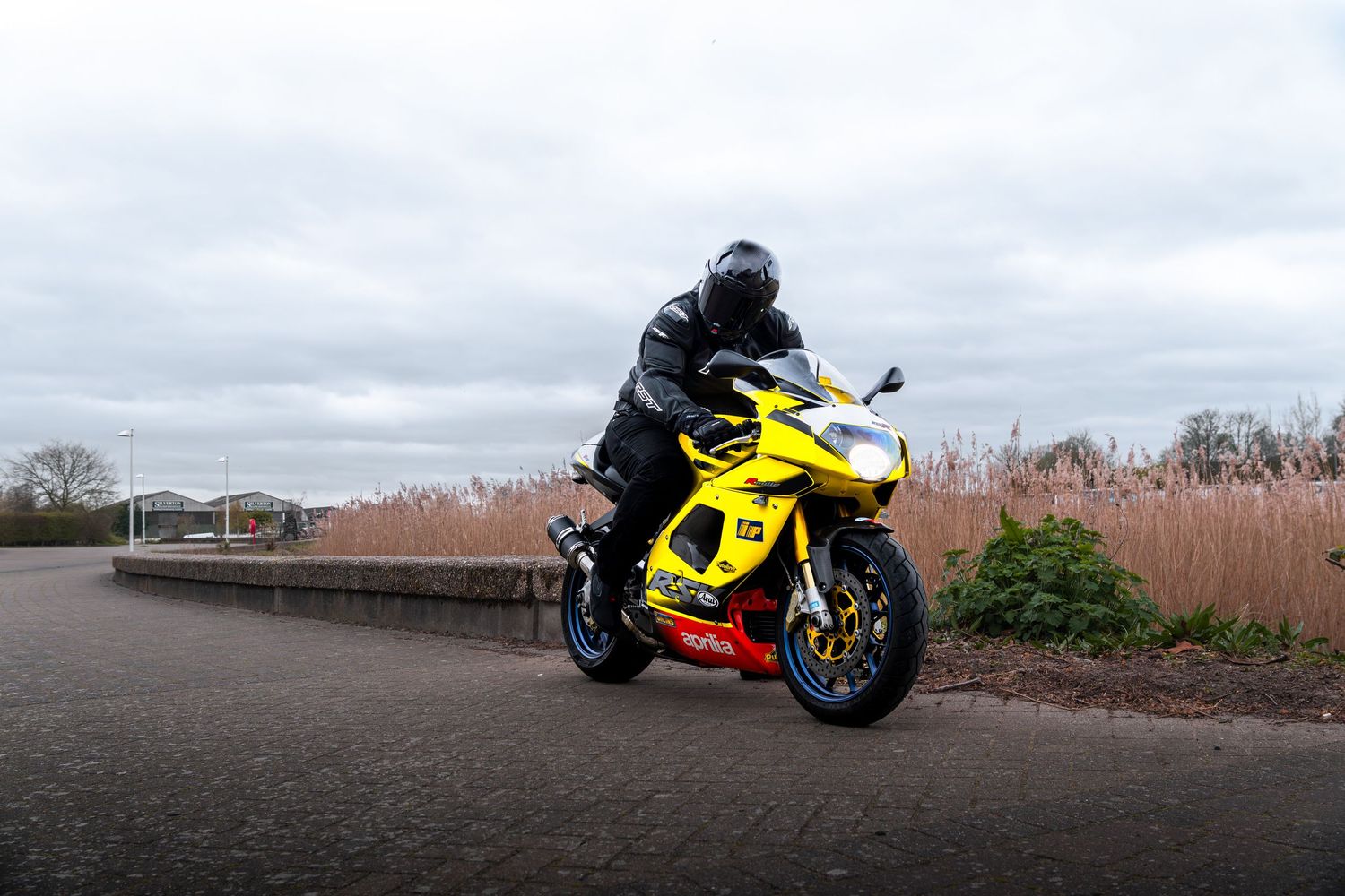 Yellow Aprilia RSV motorcycle with black-suited rider on a curved road beside tall reeds.