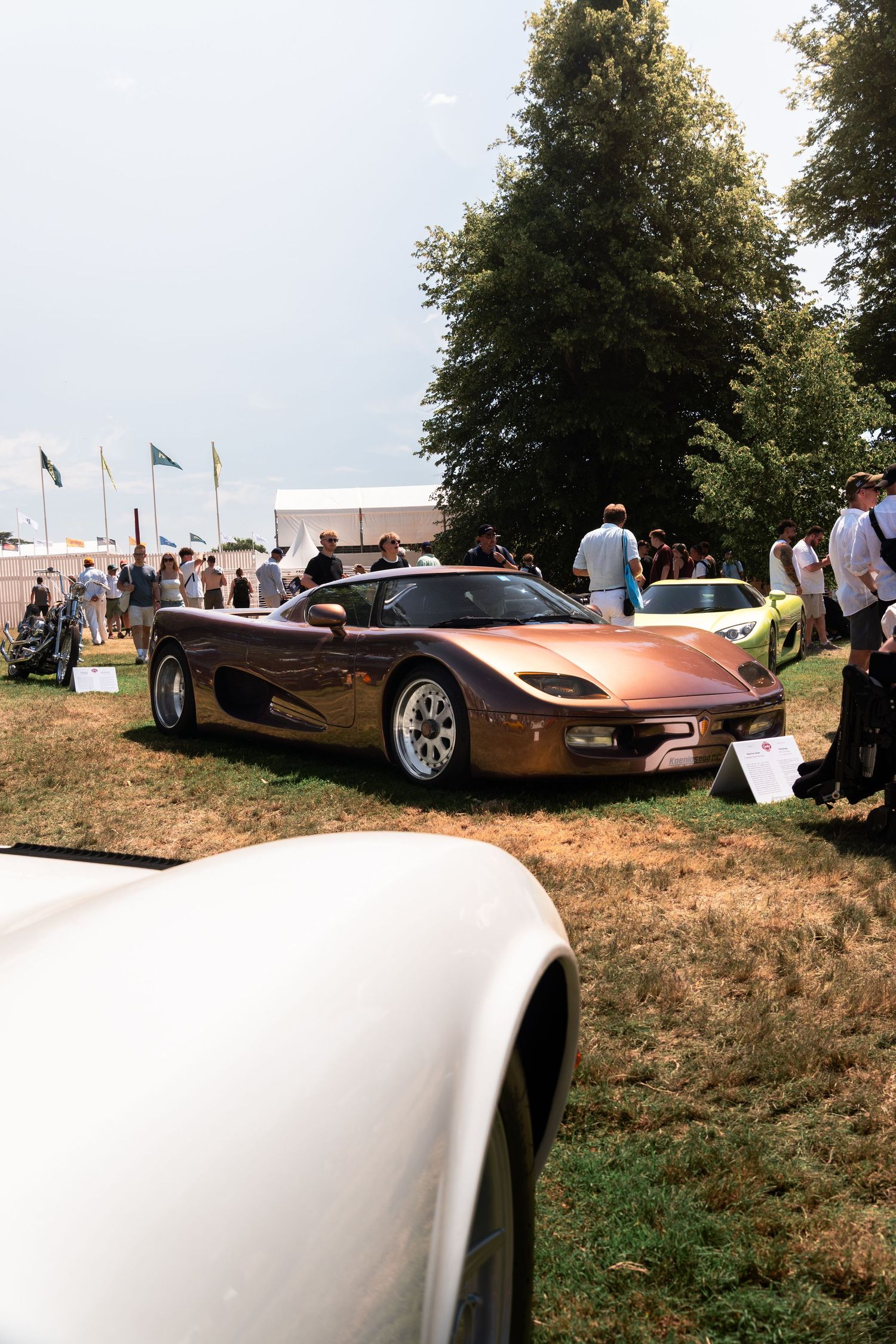 Bronze supercar on display at an outdoor automotive show with spectators and trees in the background.