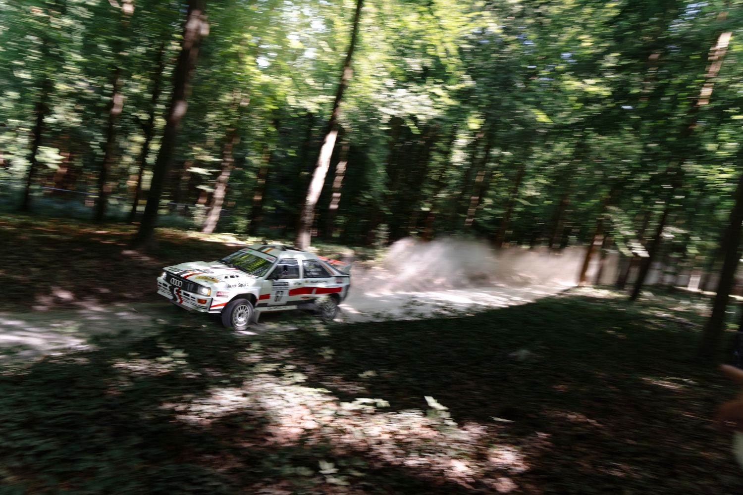 Rally car racing through a forest dirt track, kicking up dust among tall trees during a motorsport competition.