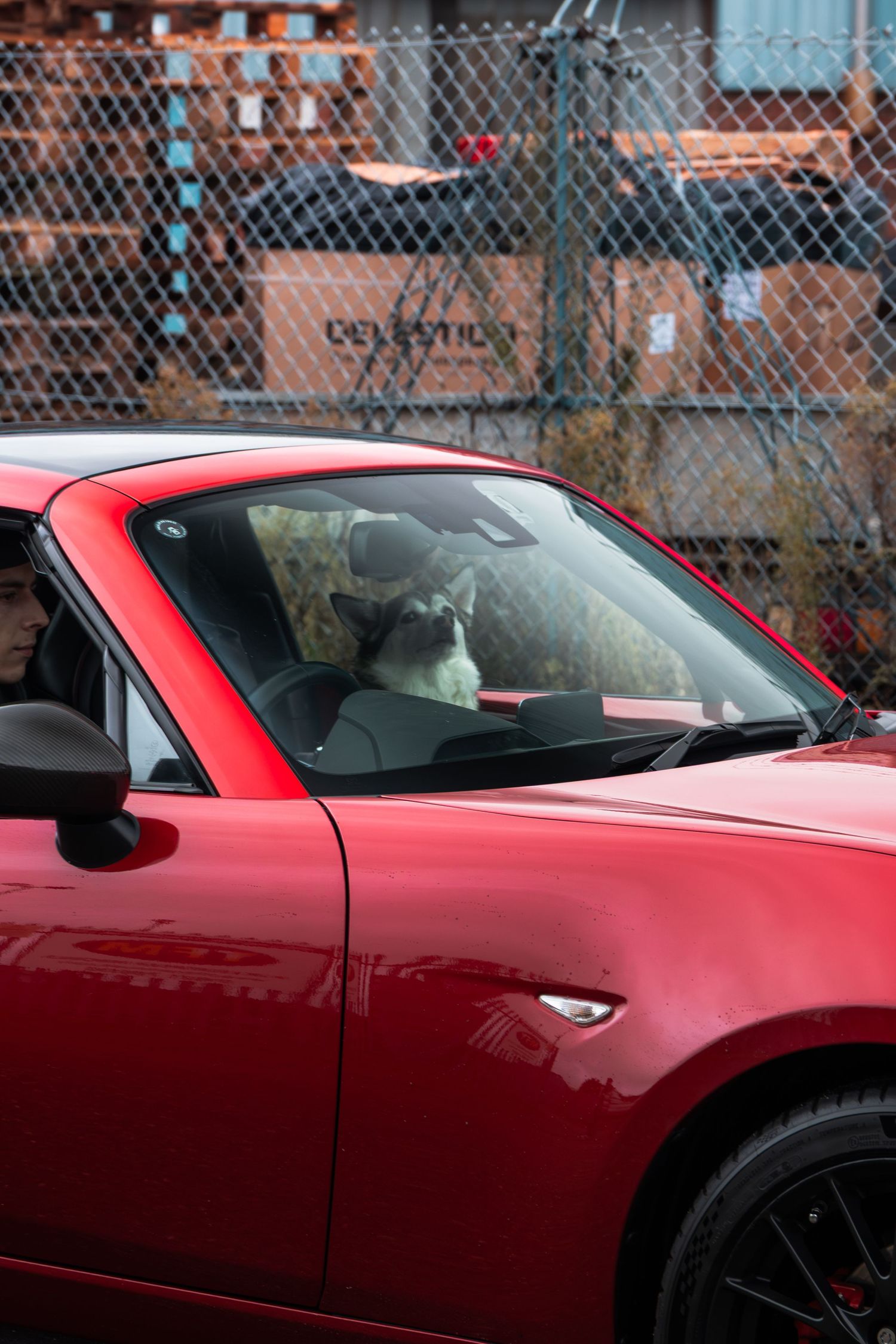 A dog sits in the passenger seat of a red Mazda MX-5 sports car parked near an industrial fence.