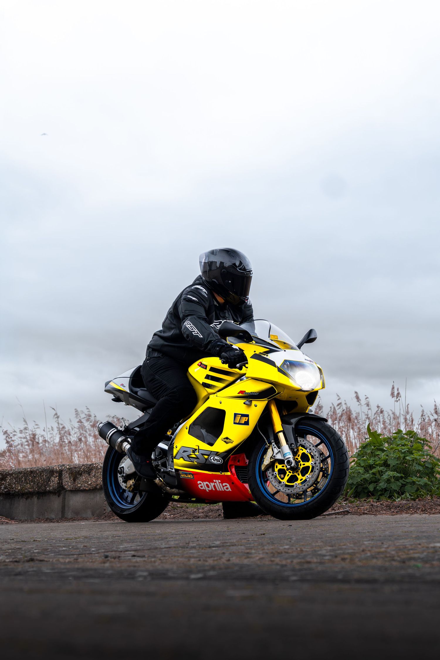 Rider on yellow Aprilia RSV motorcycle against overcast sky near reed beds.